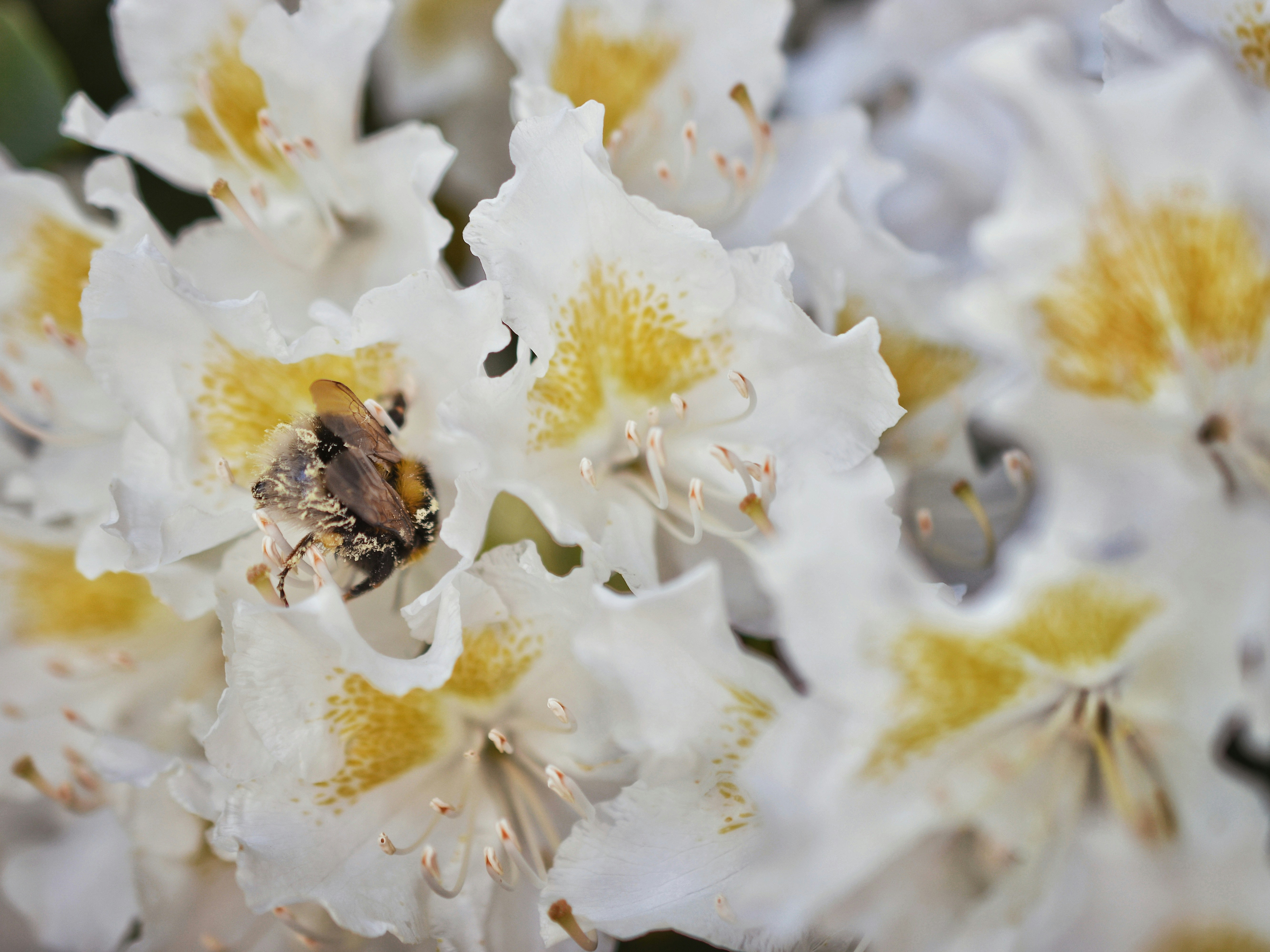 Photo by katie_veronique