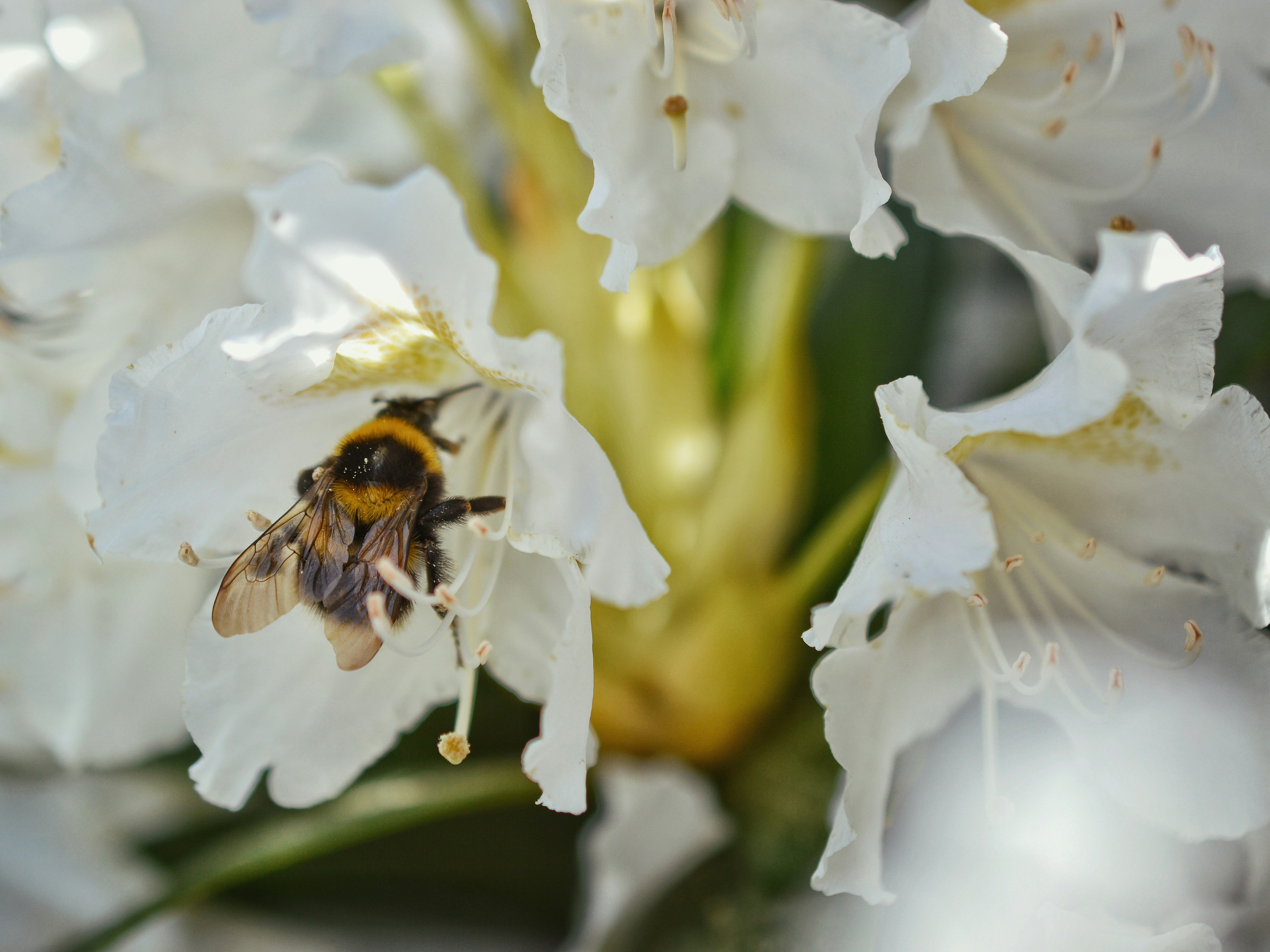 Photo by katie_veronique