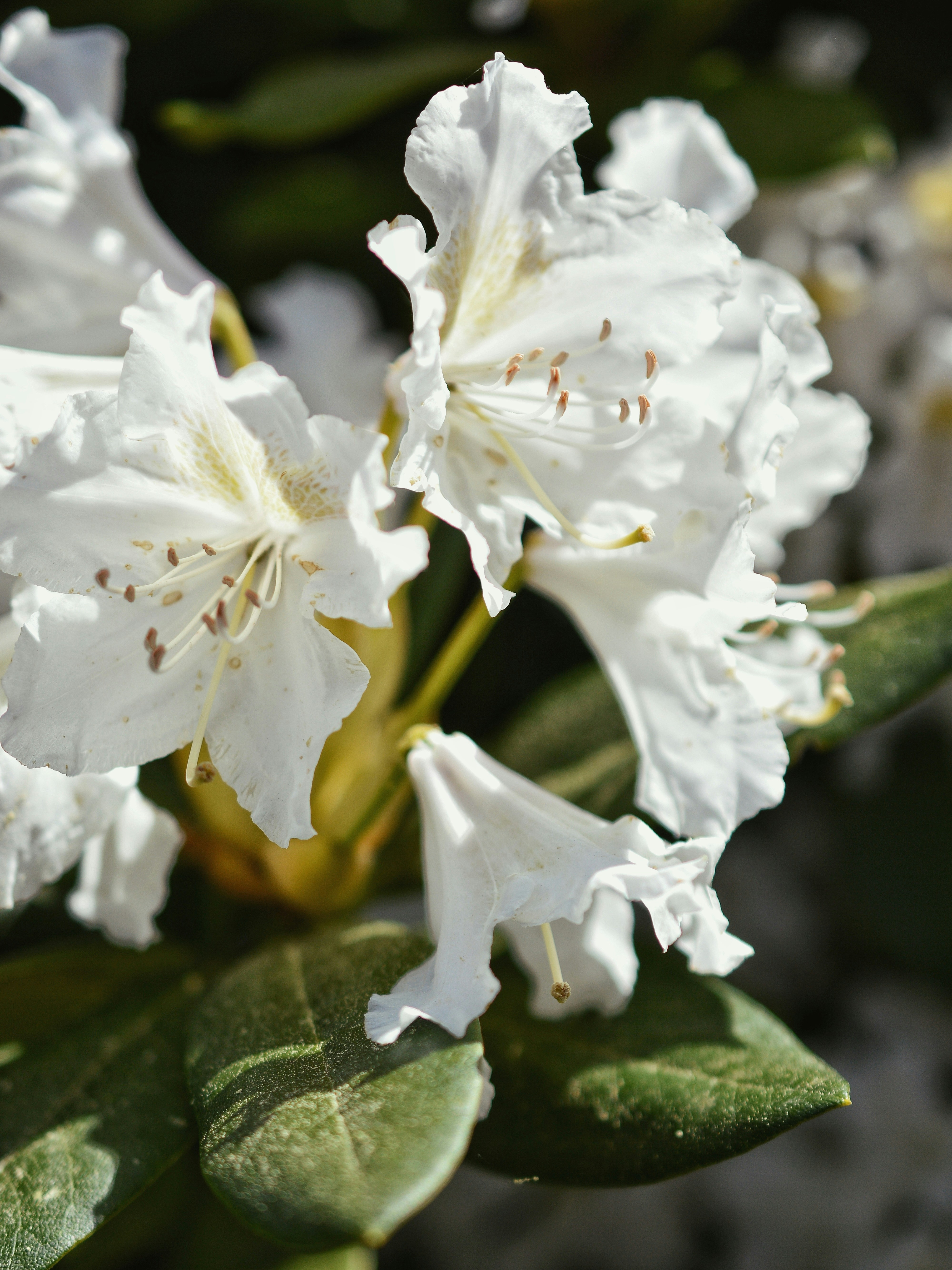 Photo by katie_veronique