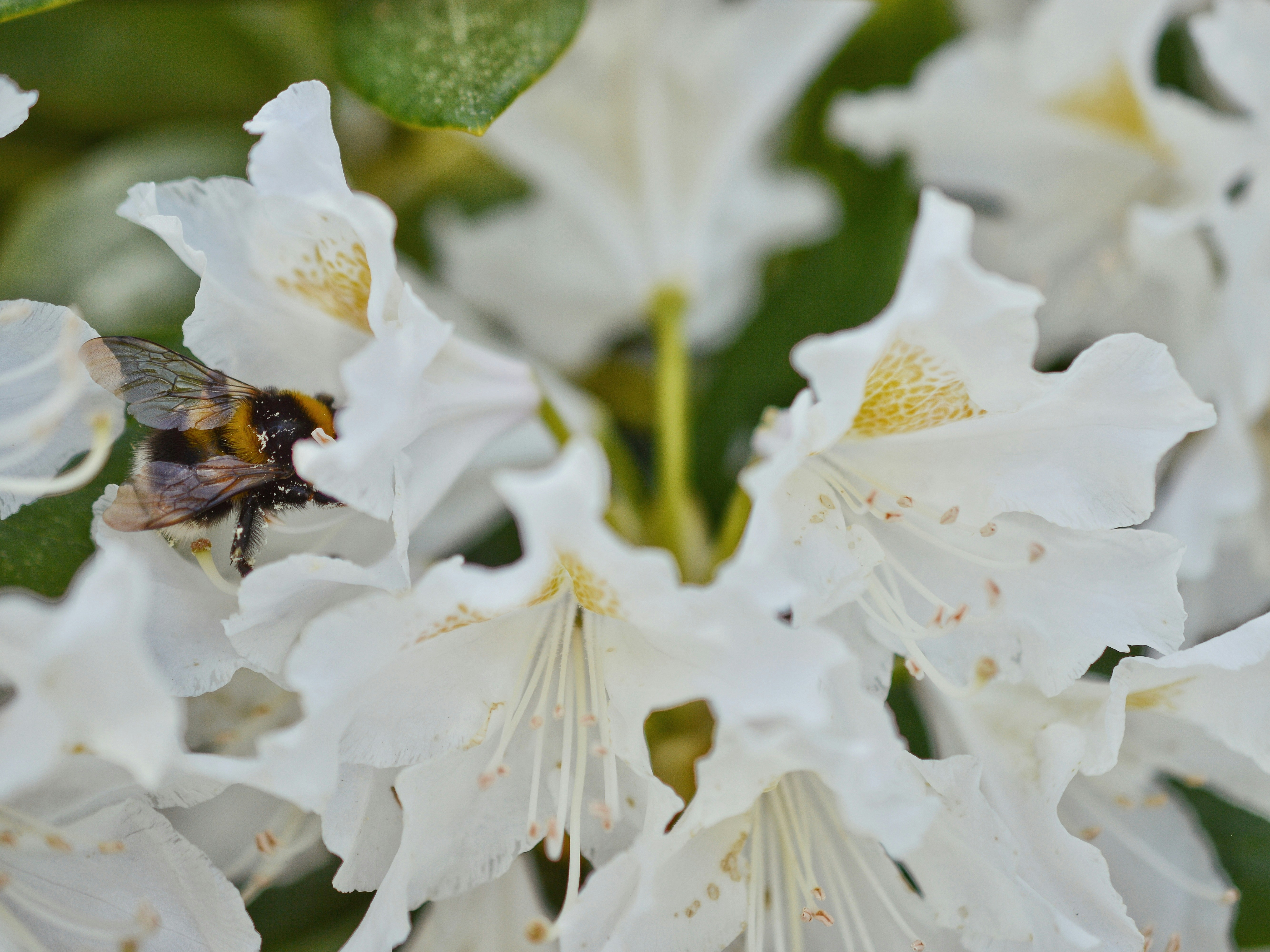 Photo by katie_veronique