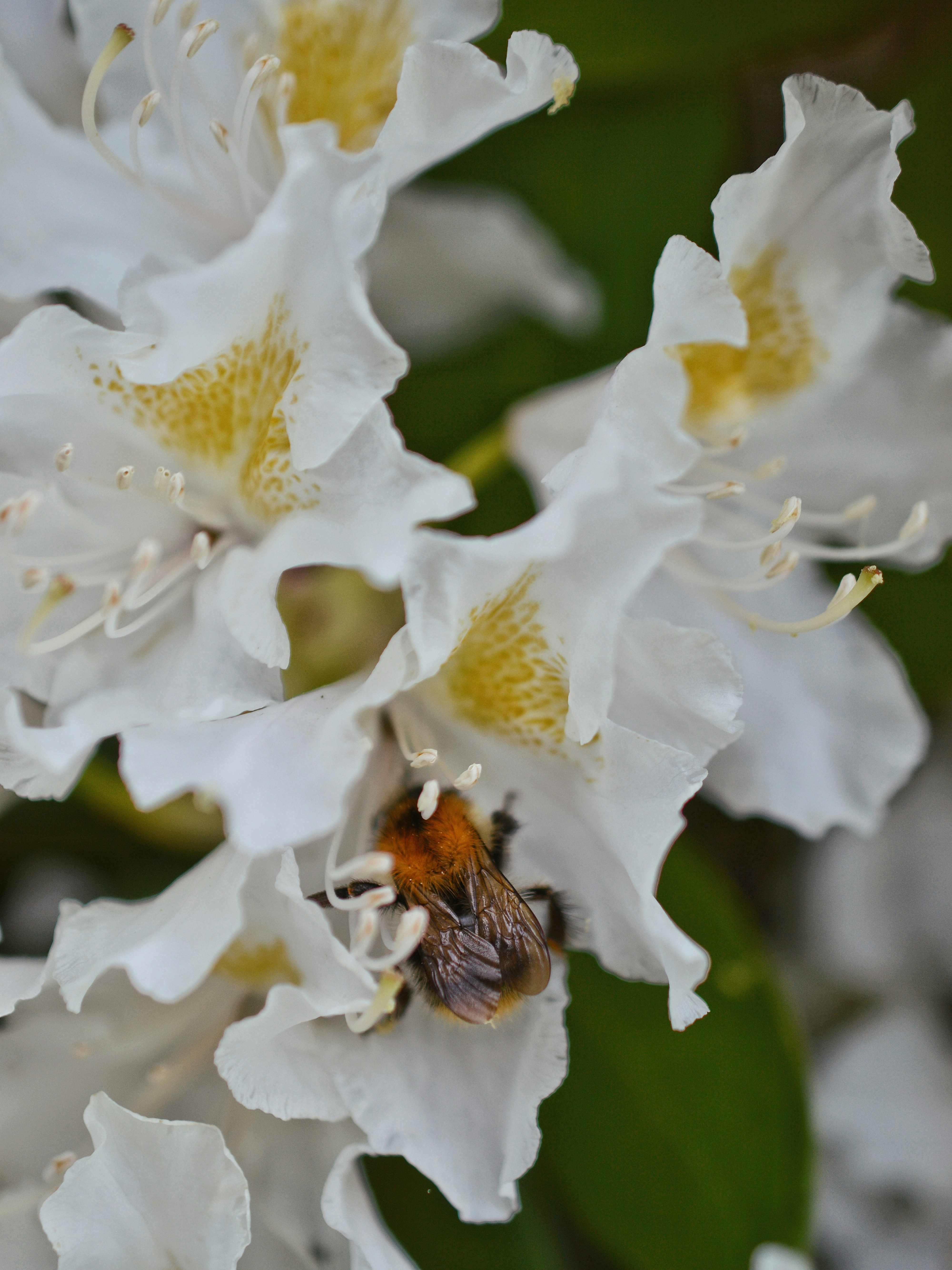 Photo by katie_veronique