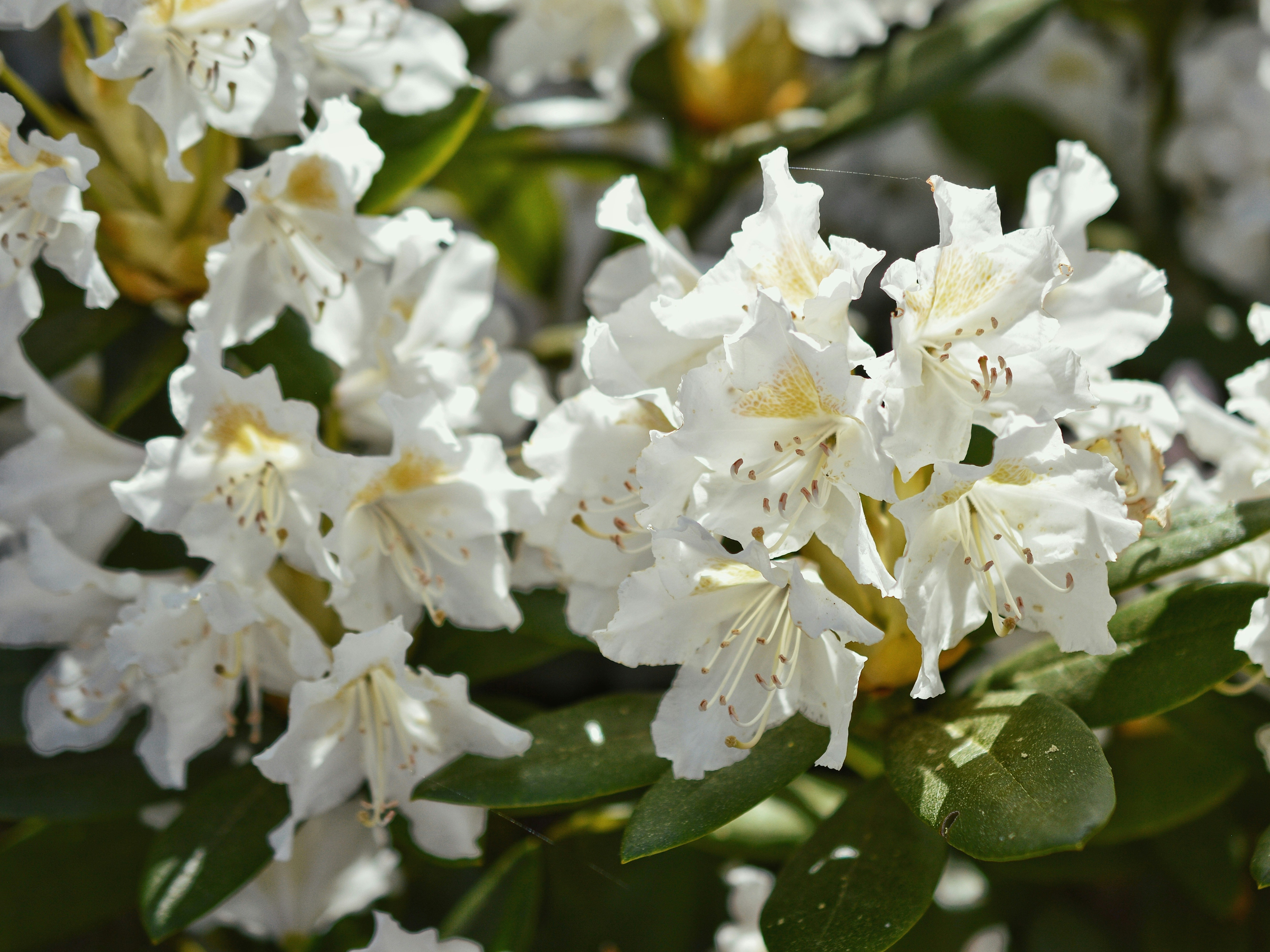 Photo by katie_veronique