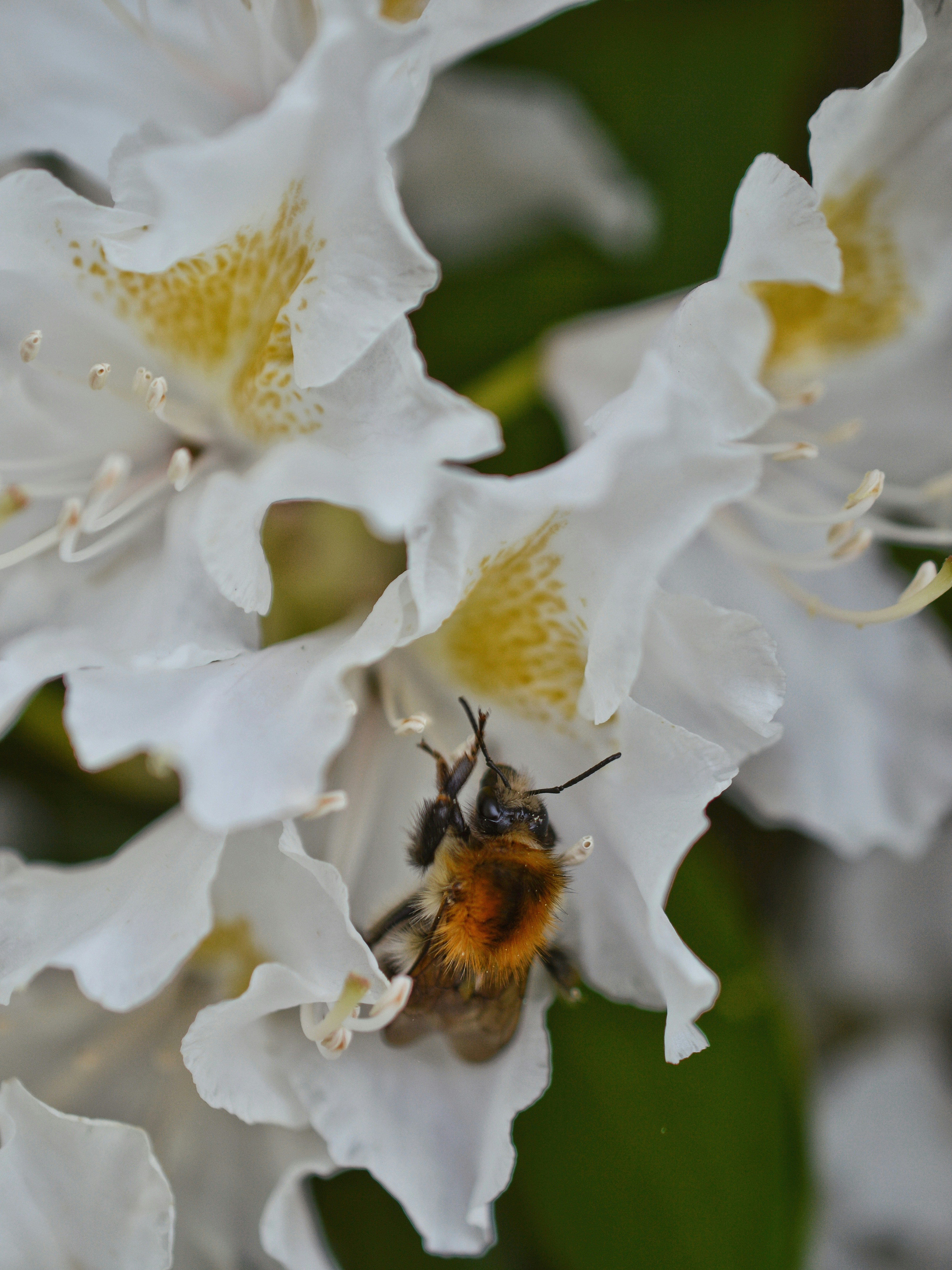 Photo by katie_veronique