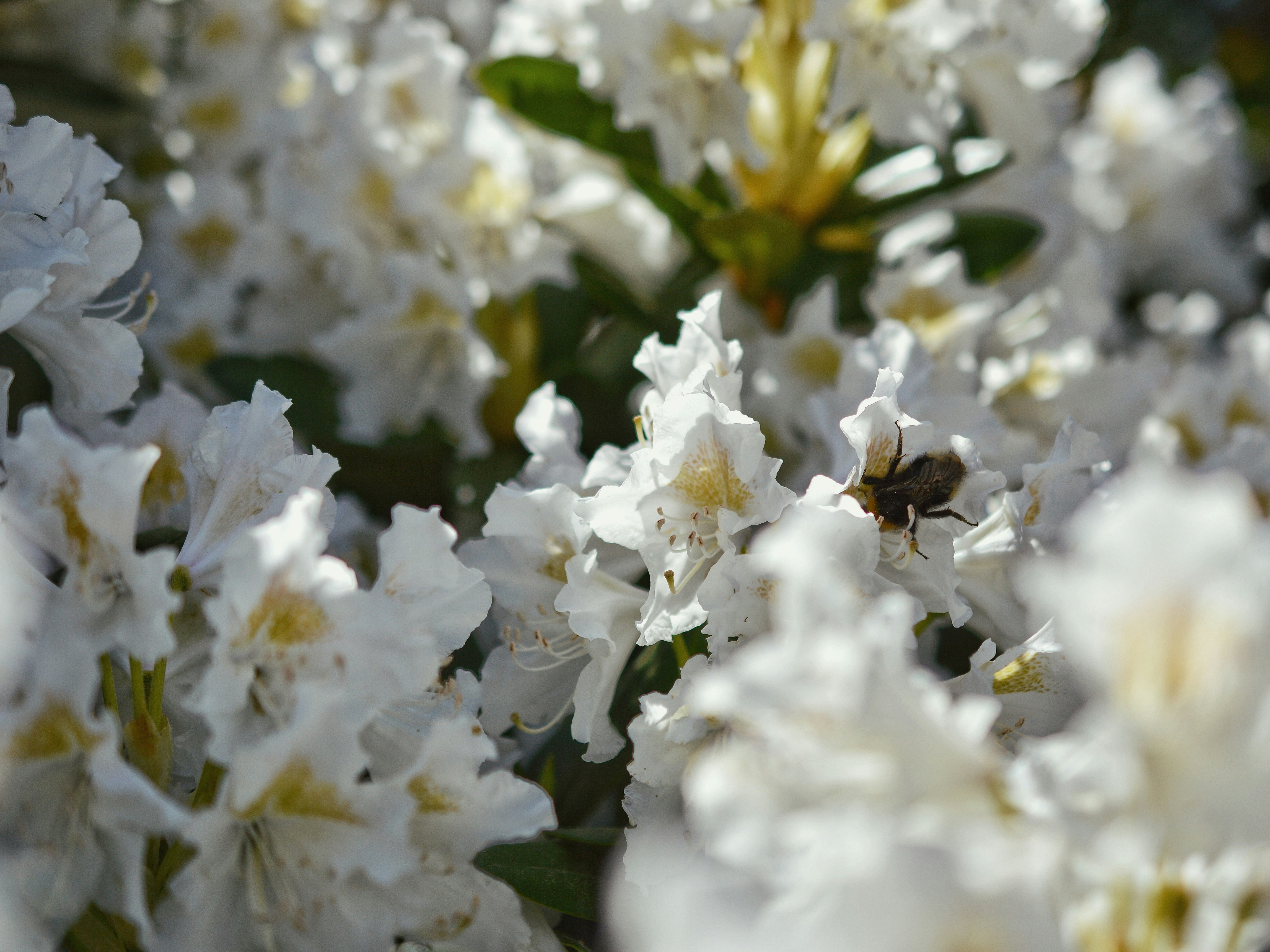 Photo by katie_veronique