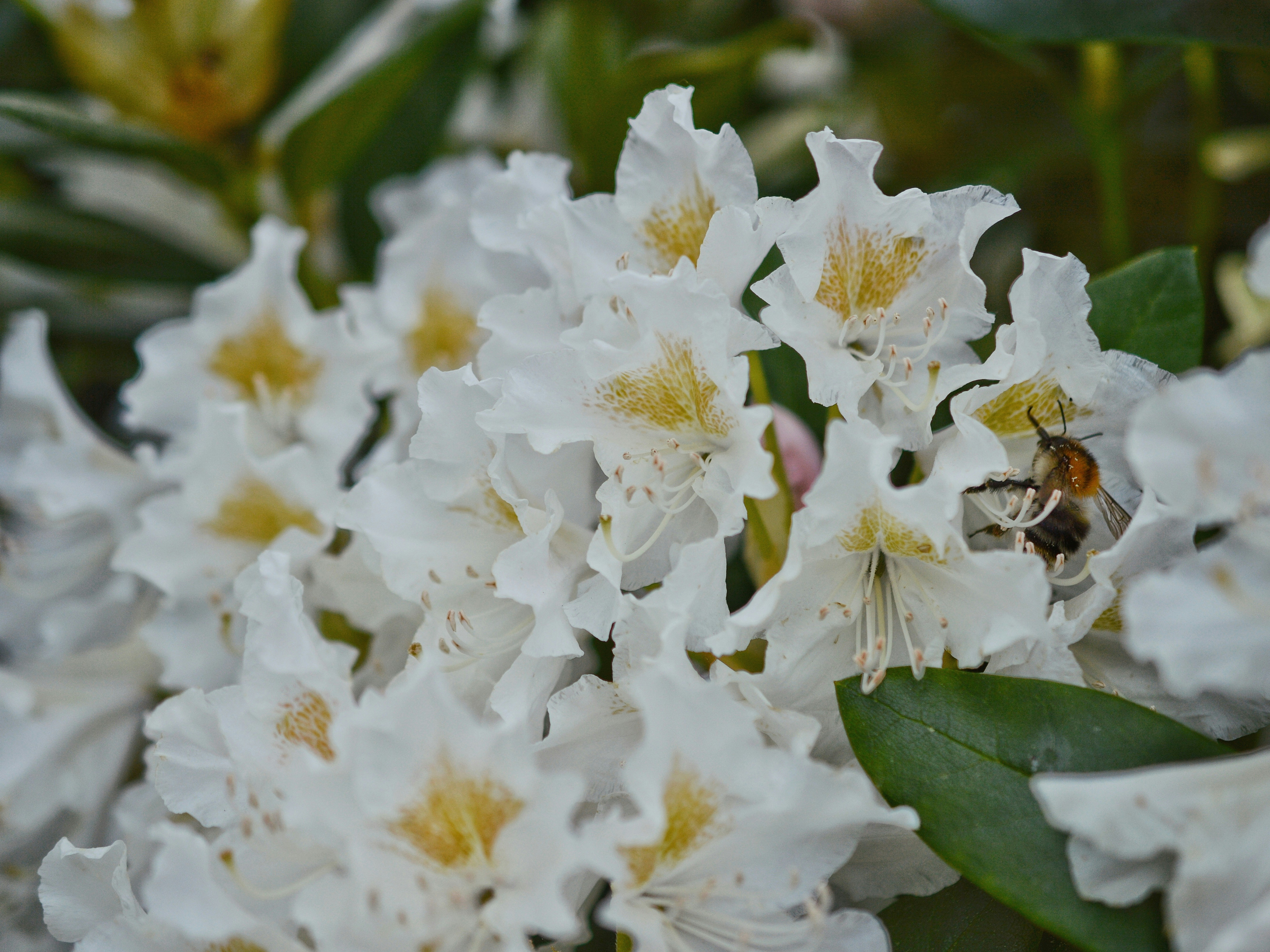 Photo by katie_veronique