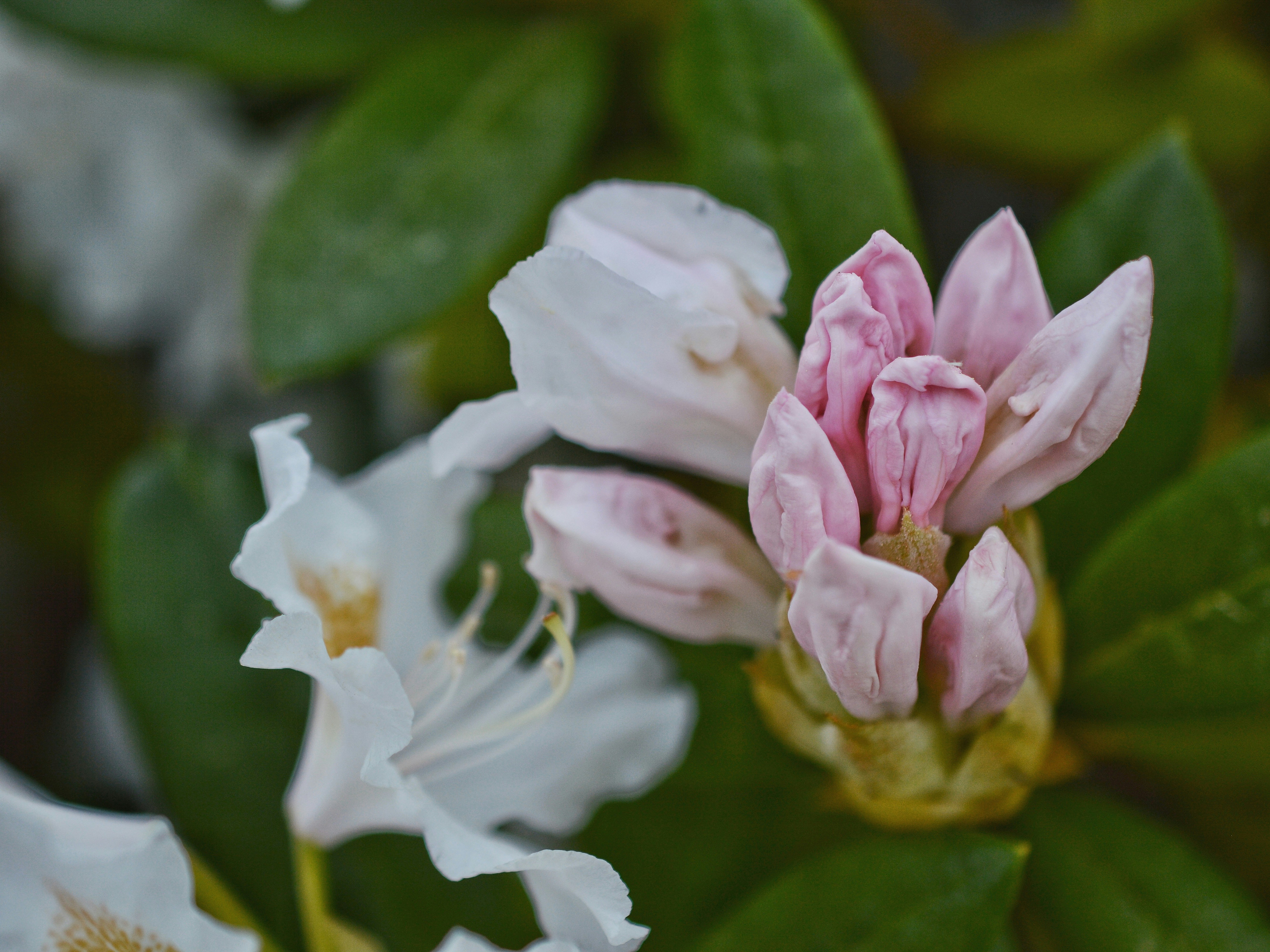 Photo by katie_veronique