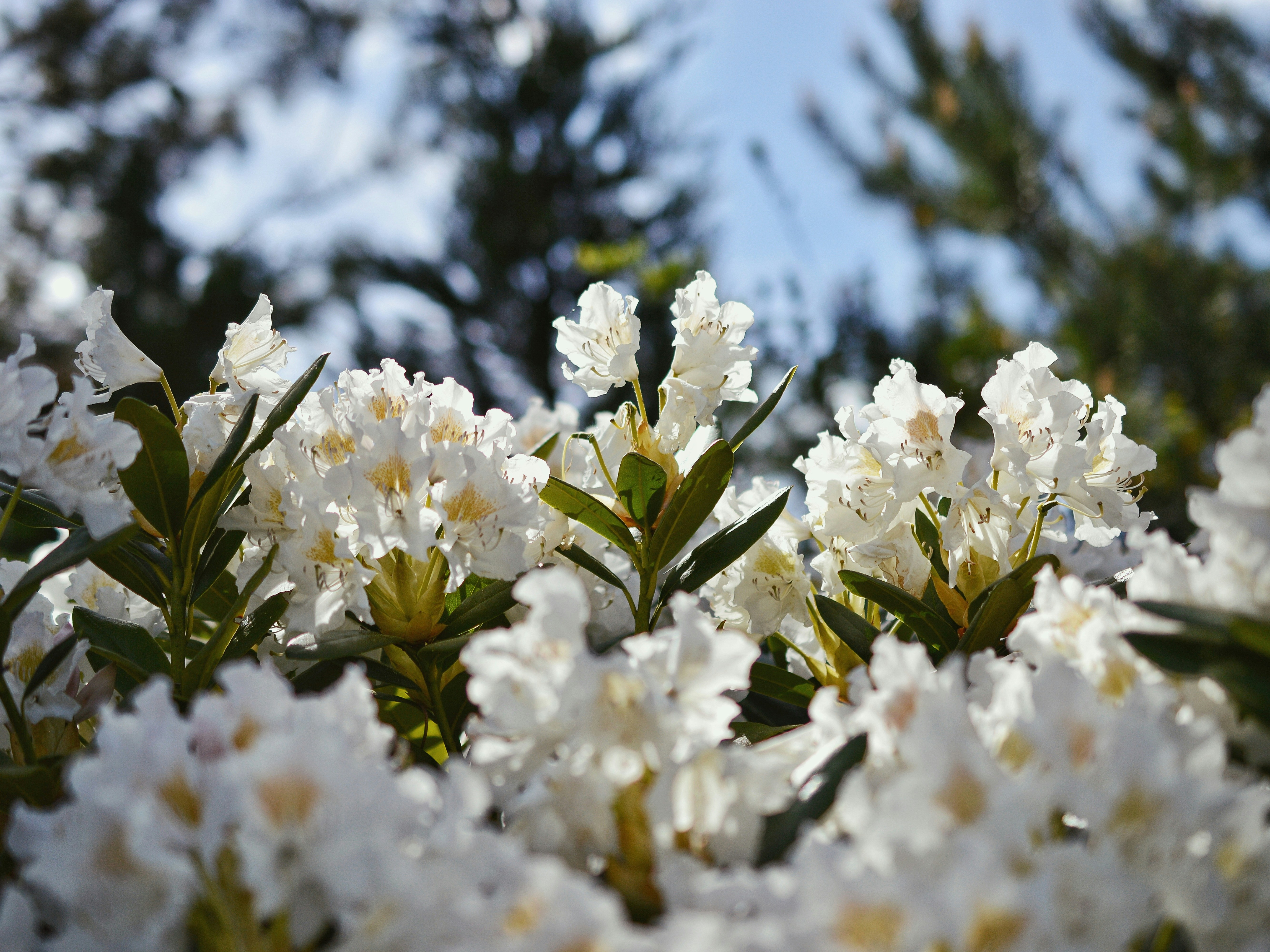 Photo by katie_veronique