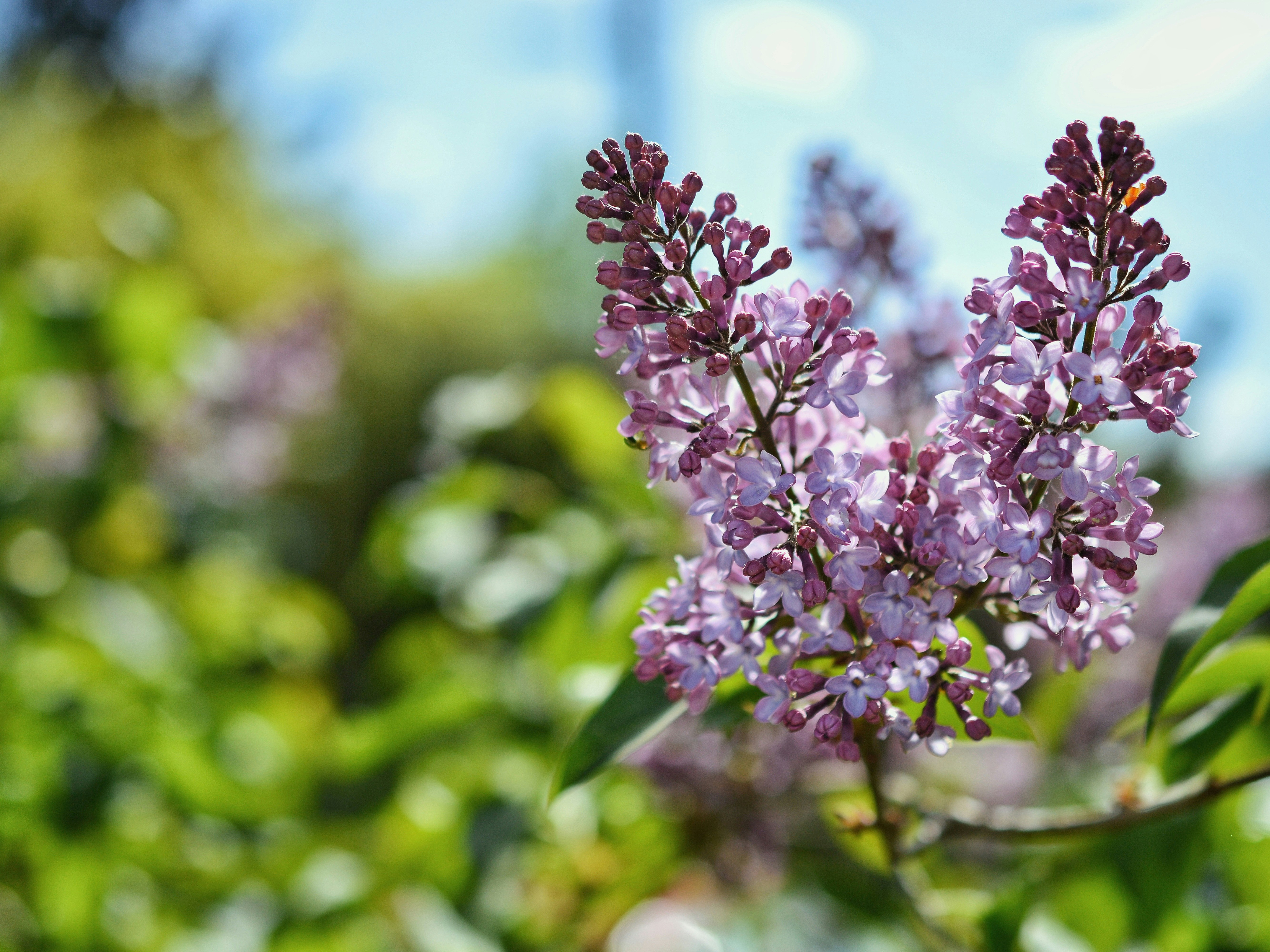 Photo by katie_veronique