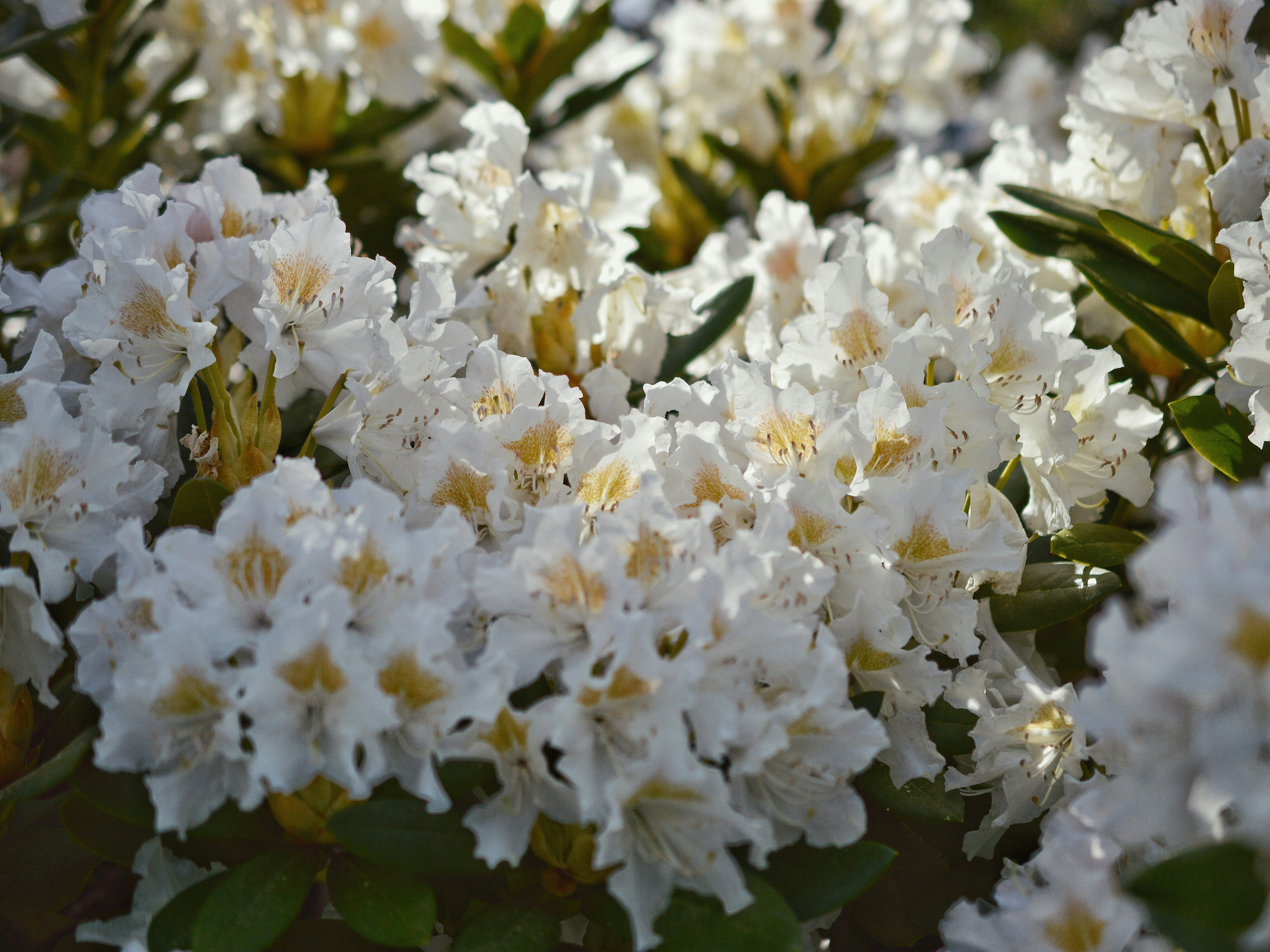 Photo by katie_veronique