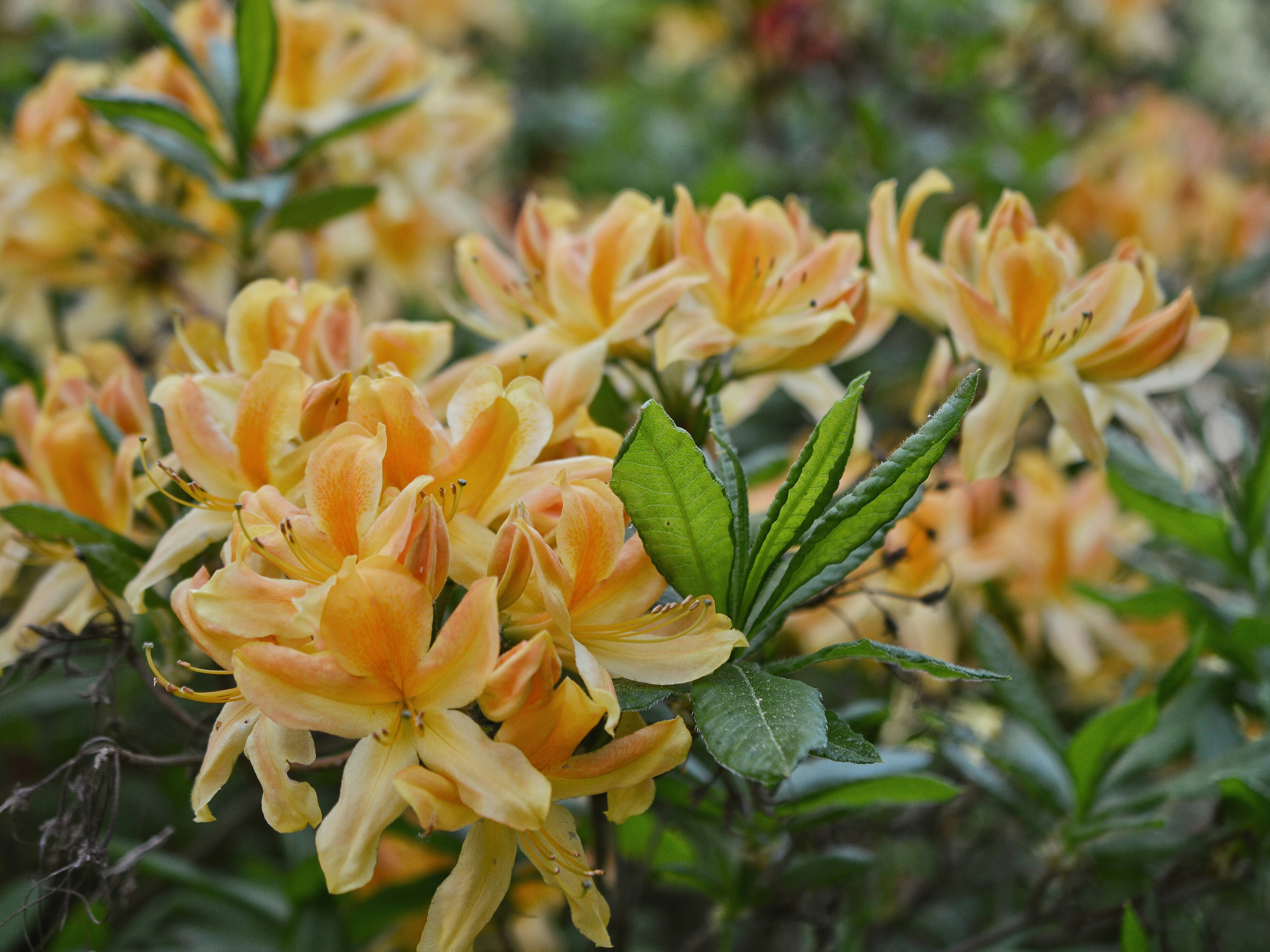 Photo by katie_veronique