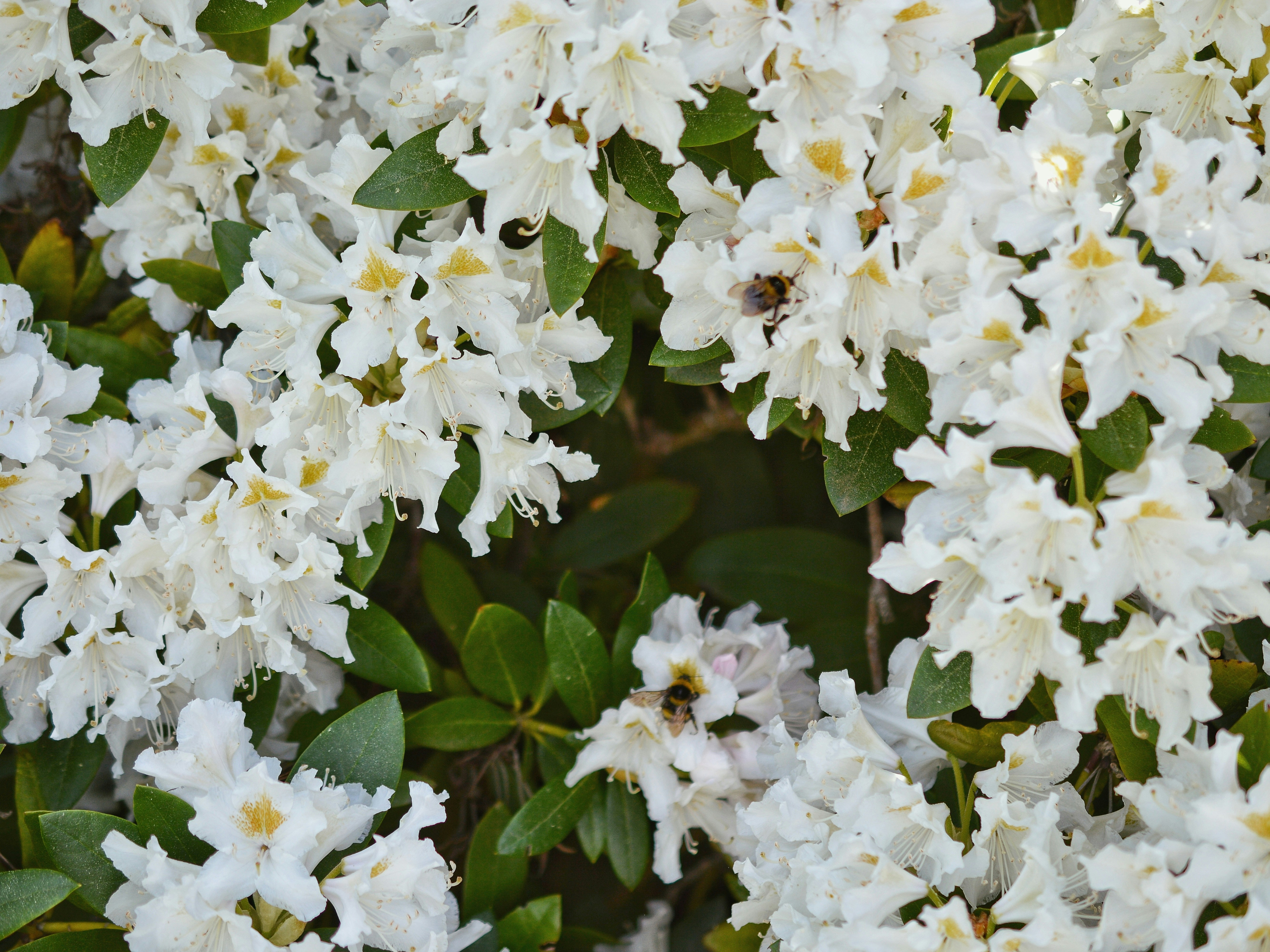 Photo by katie_veronique