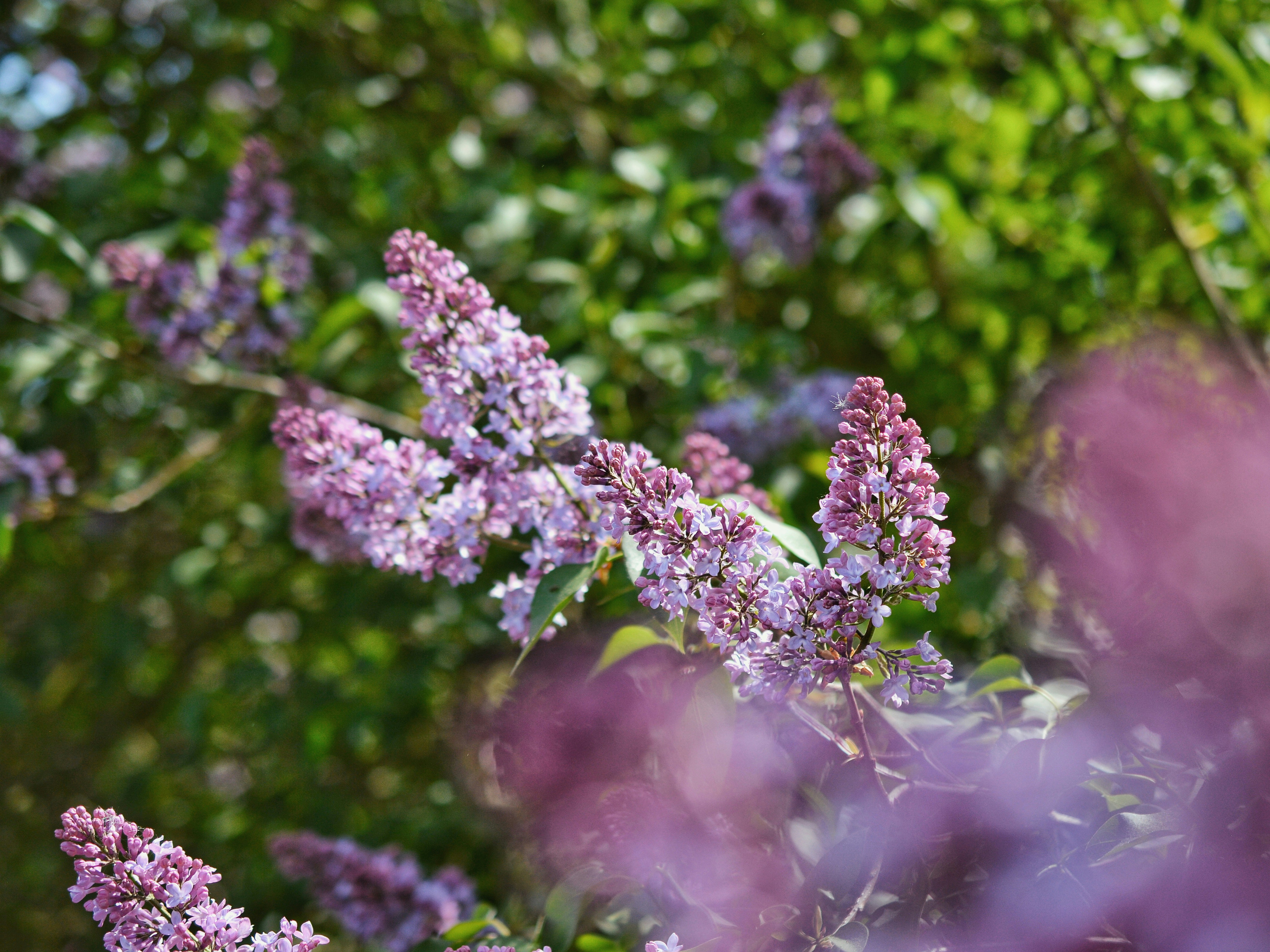 Photo by katie_veronique