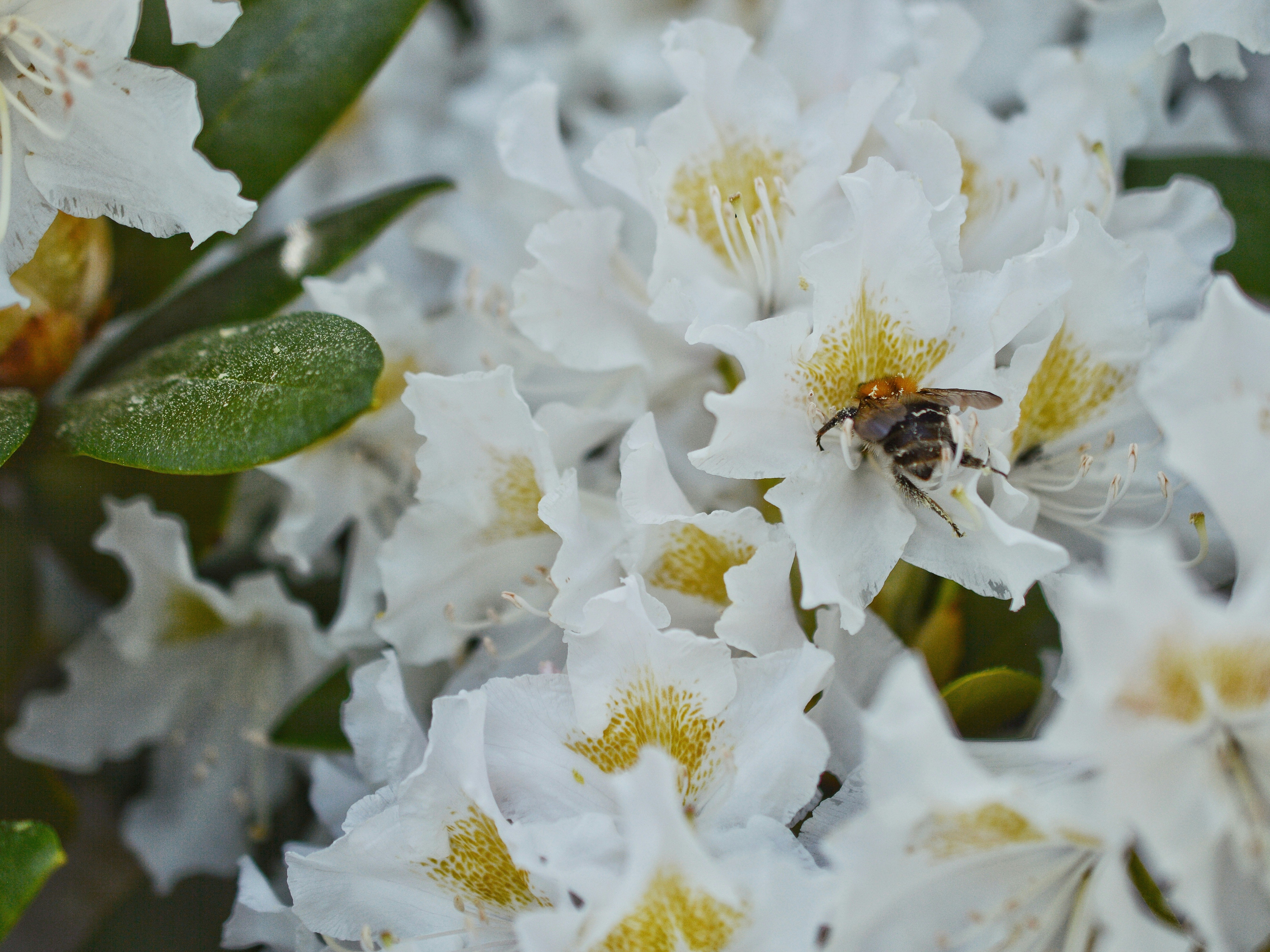 Photo by katie_veronique