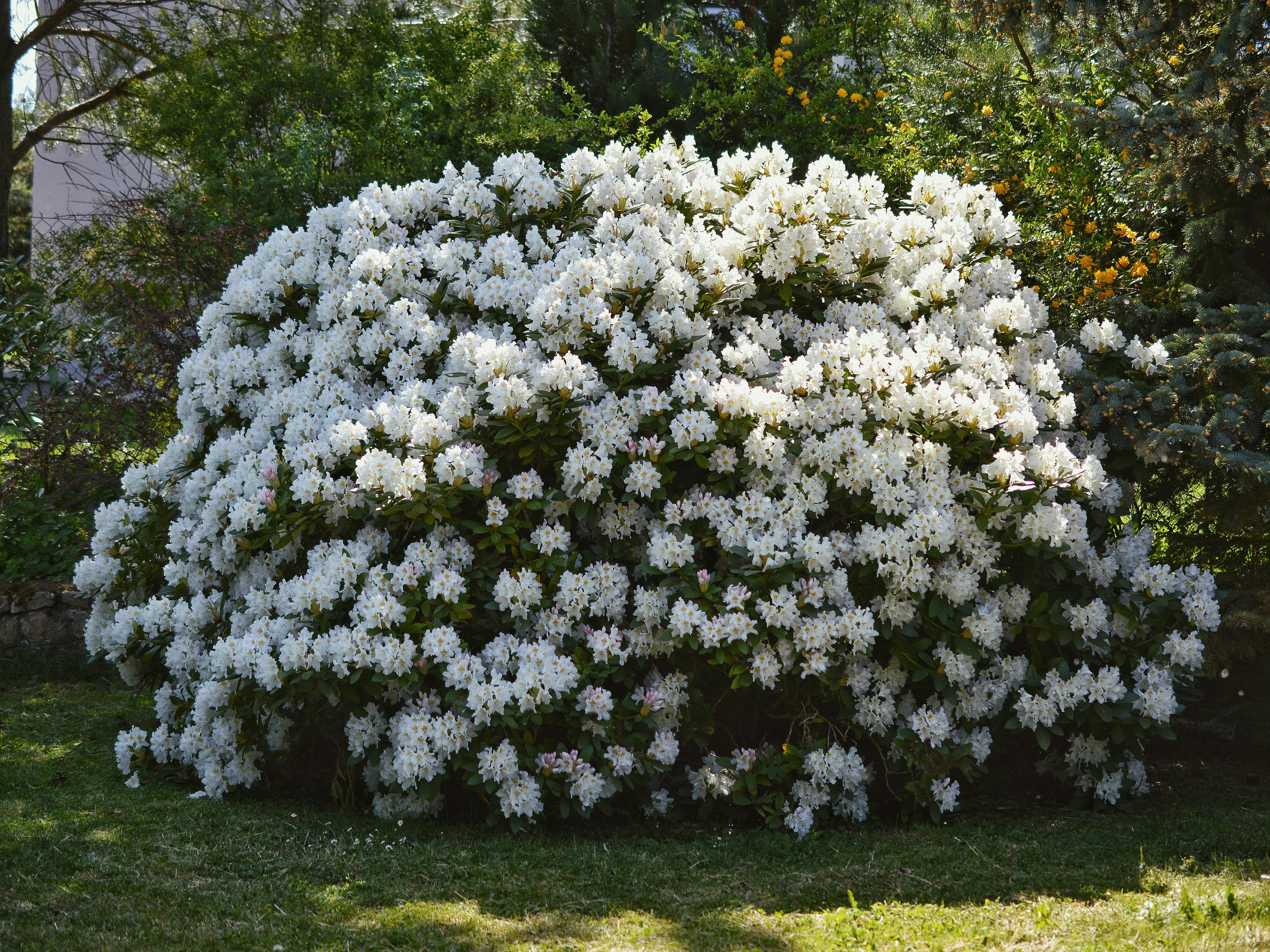 Photo by katie_veronique