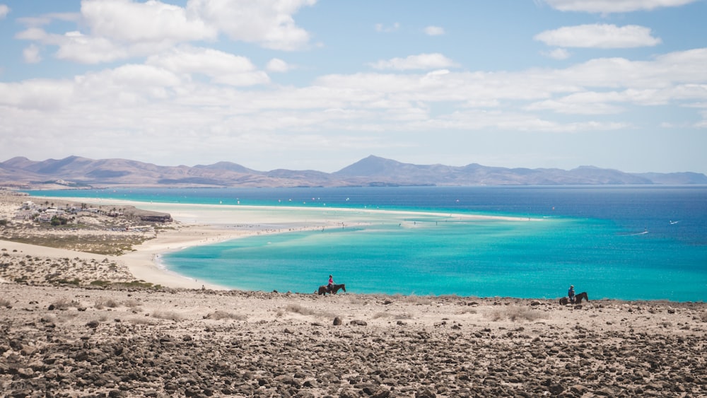 a beach with a body of water