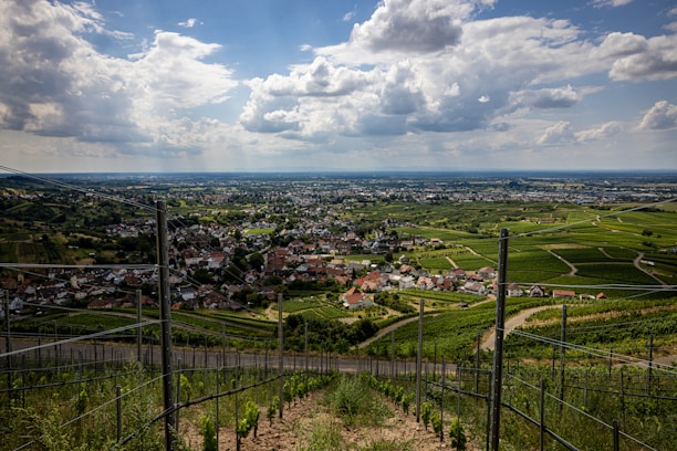 A scenic view of a newly built barndominium nestled among rolling hills and vineyards in Gillespie County.