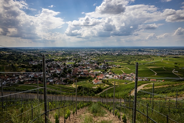 A scenic shot from one of the beer tours, showing a rustic brewery surrounded by green hills.