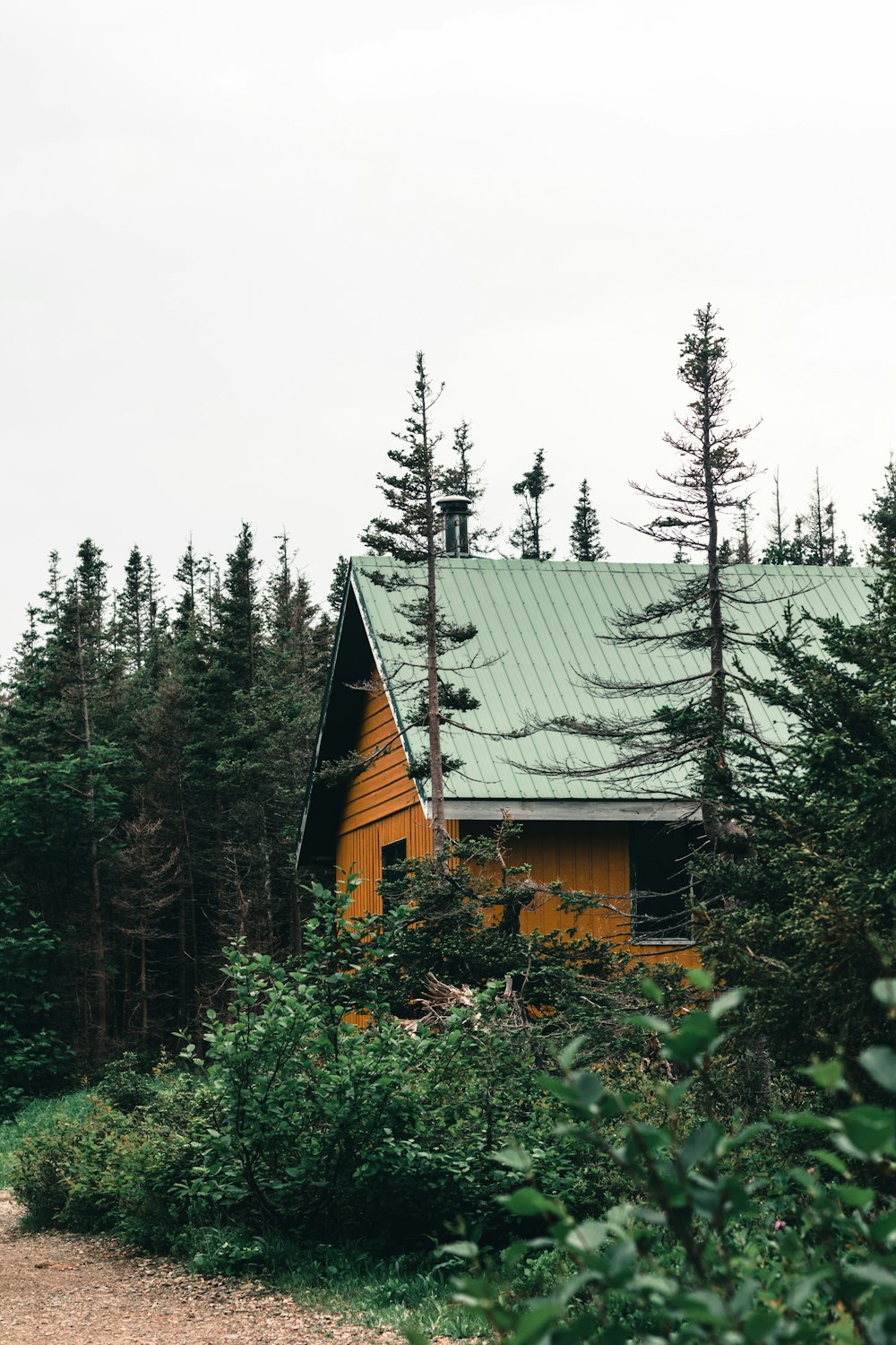 a house surrounded by trees