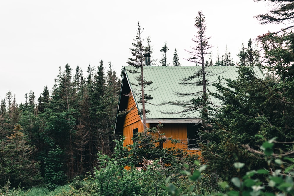 a house in the woods