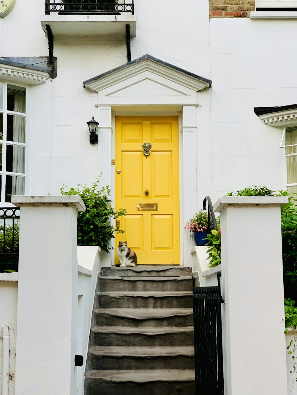 a cat sitting on the steps of a house