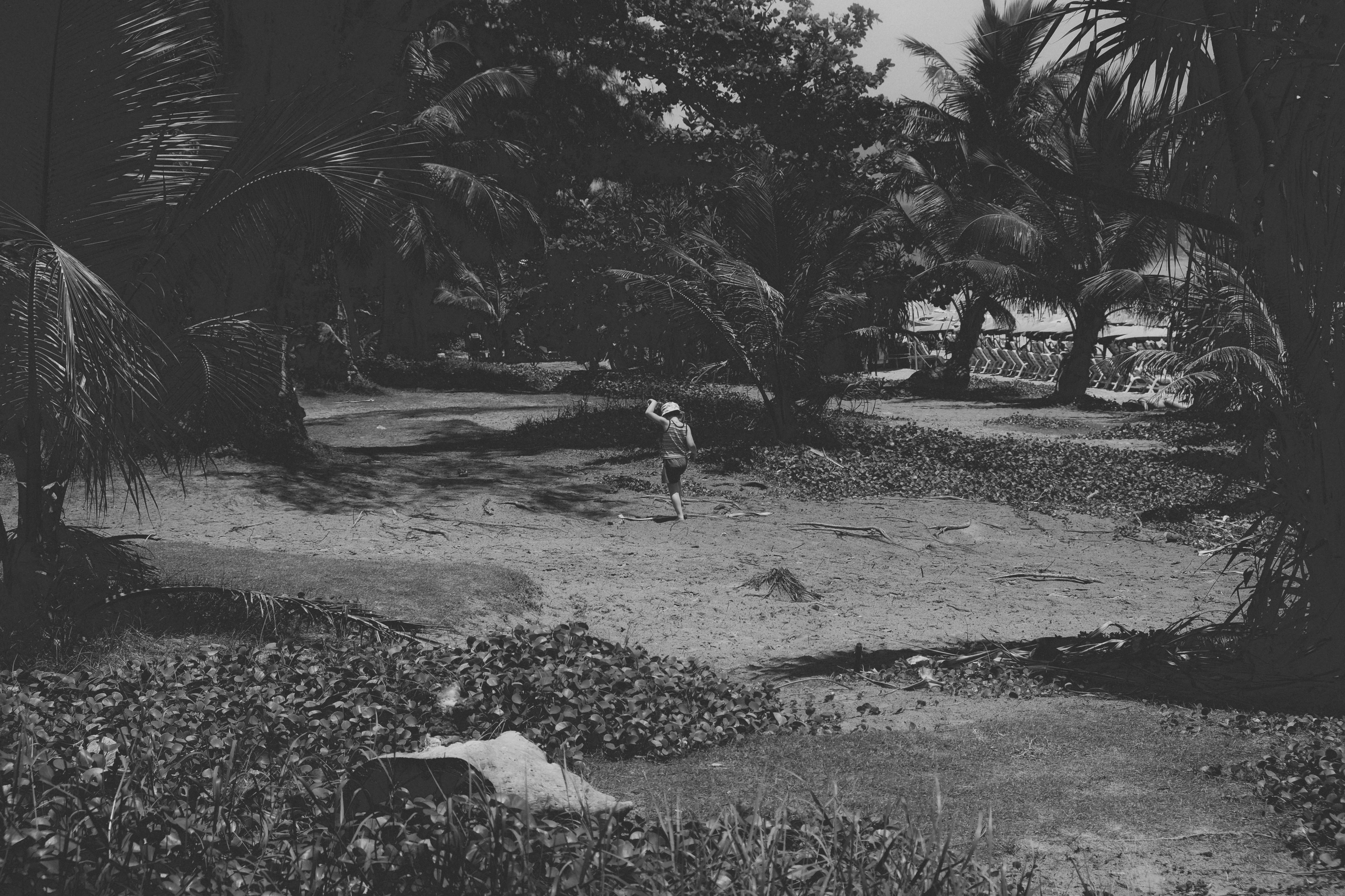 Photo by yohannlibot