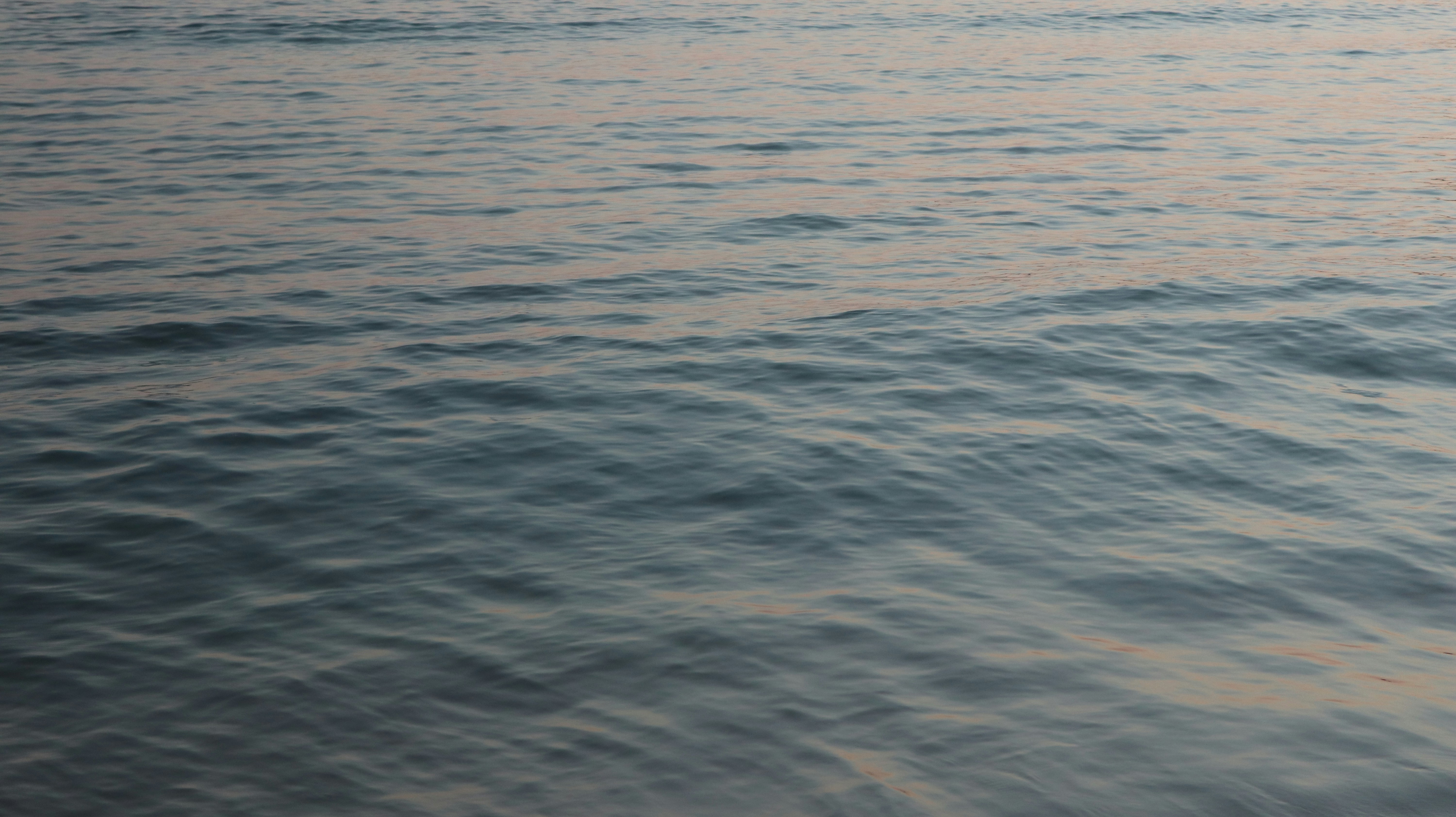 Photo by telun_photo