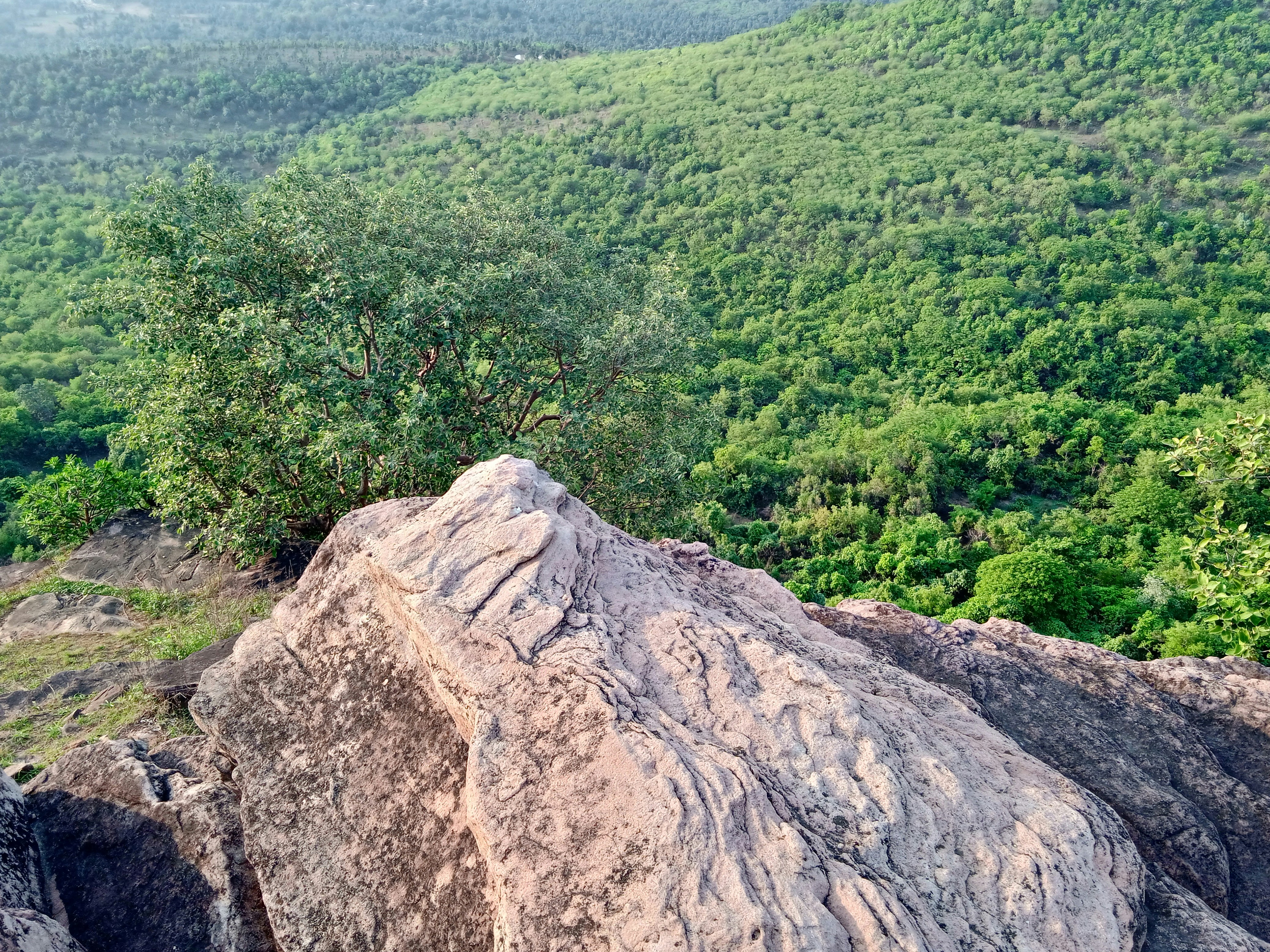 a large rock with trees in the background