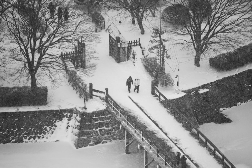 people walking on a snowy path