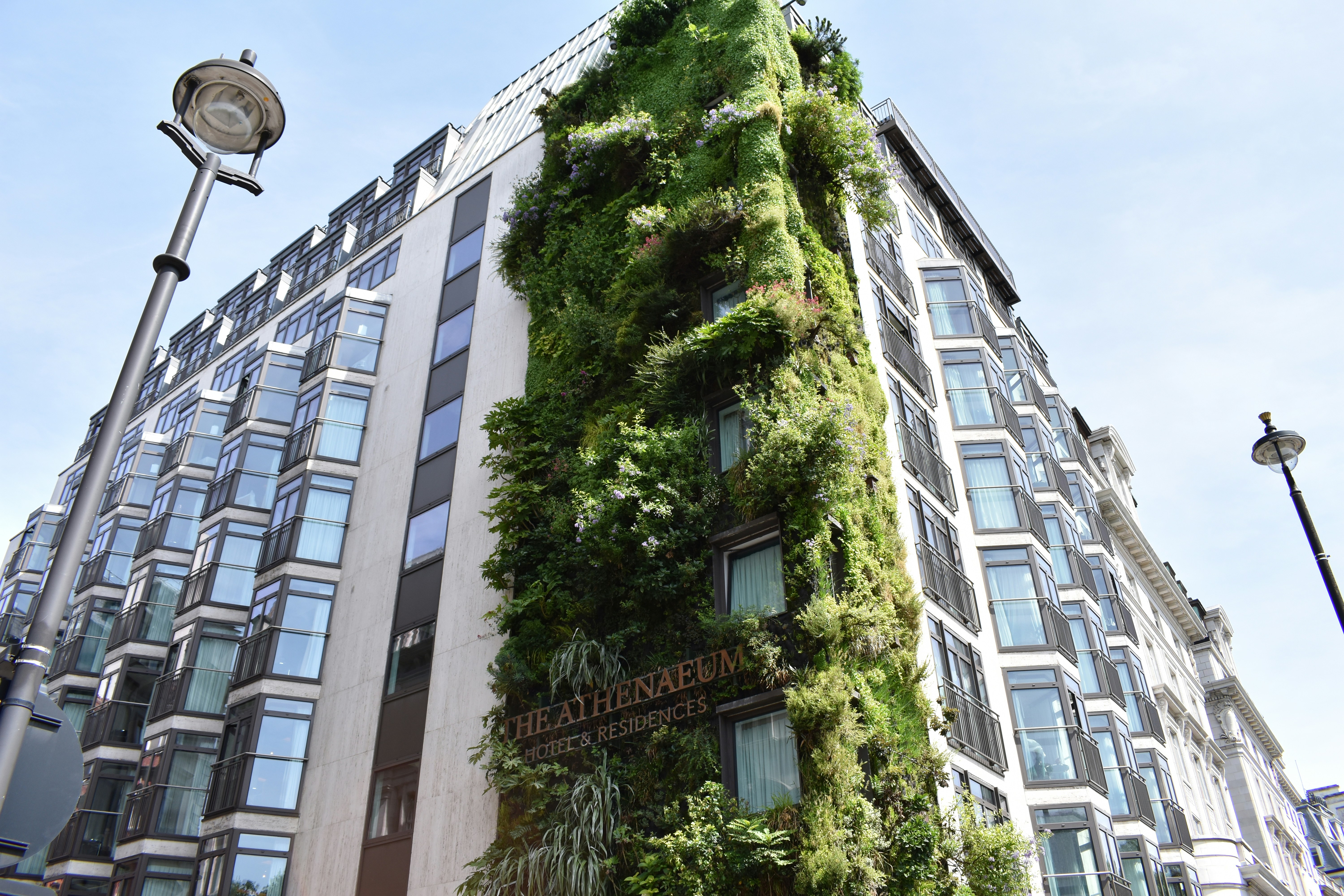 eco-friendly building how to renovate sustainably in the city