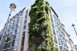 a building with a tree in front