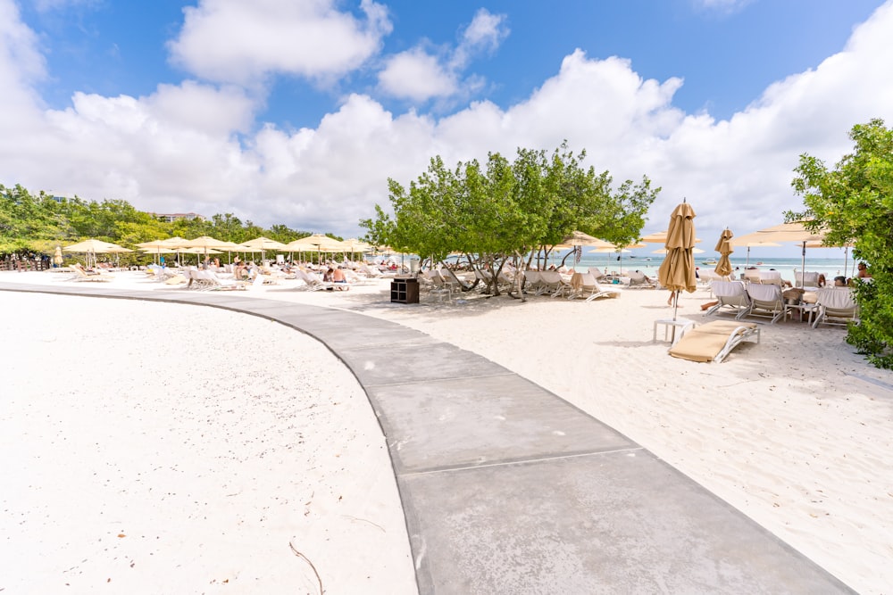 a beach with chairs and umbrellas