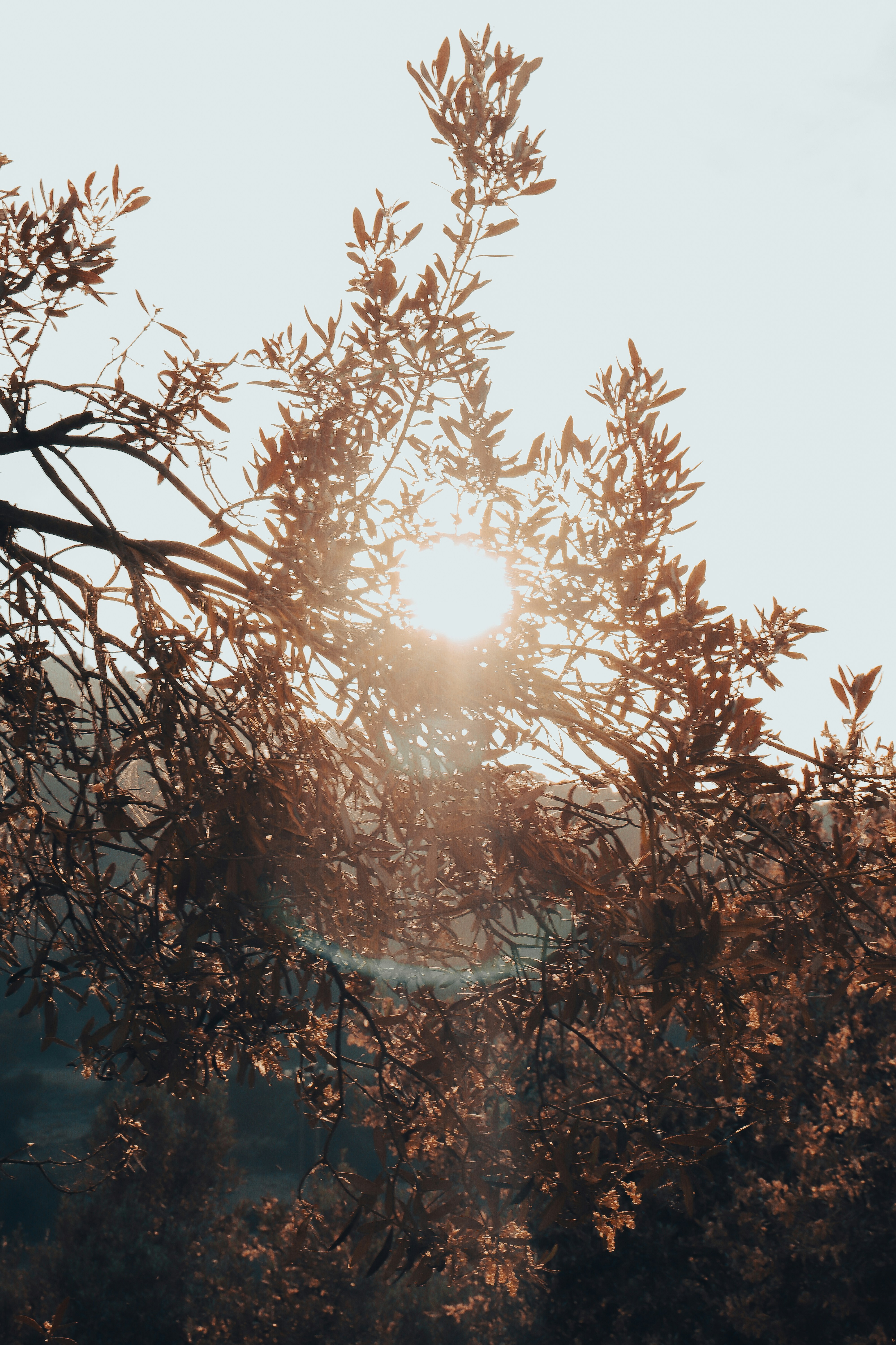 Photo by dyrophotography