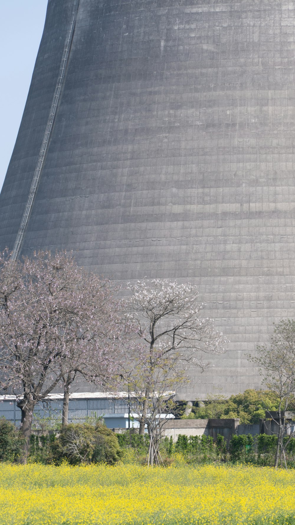 a tall building with trees in front of it