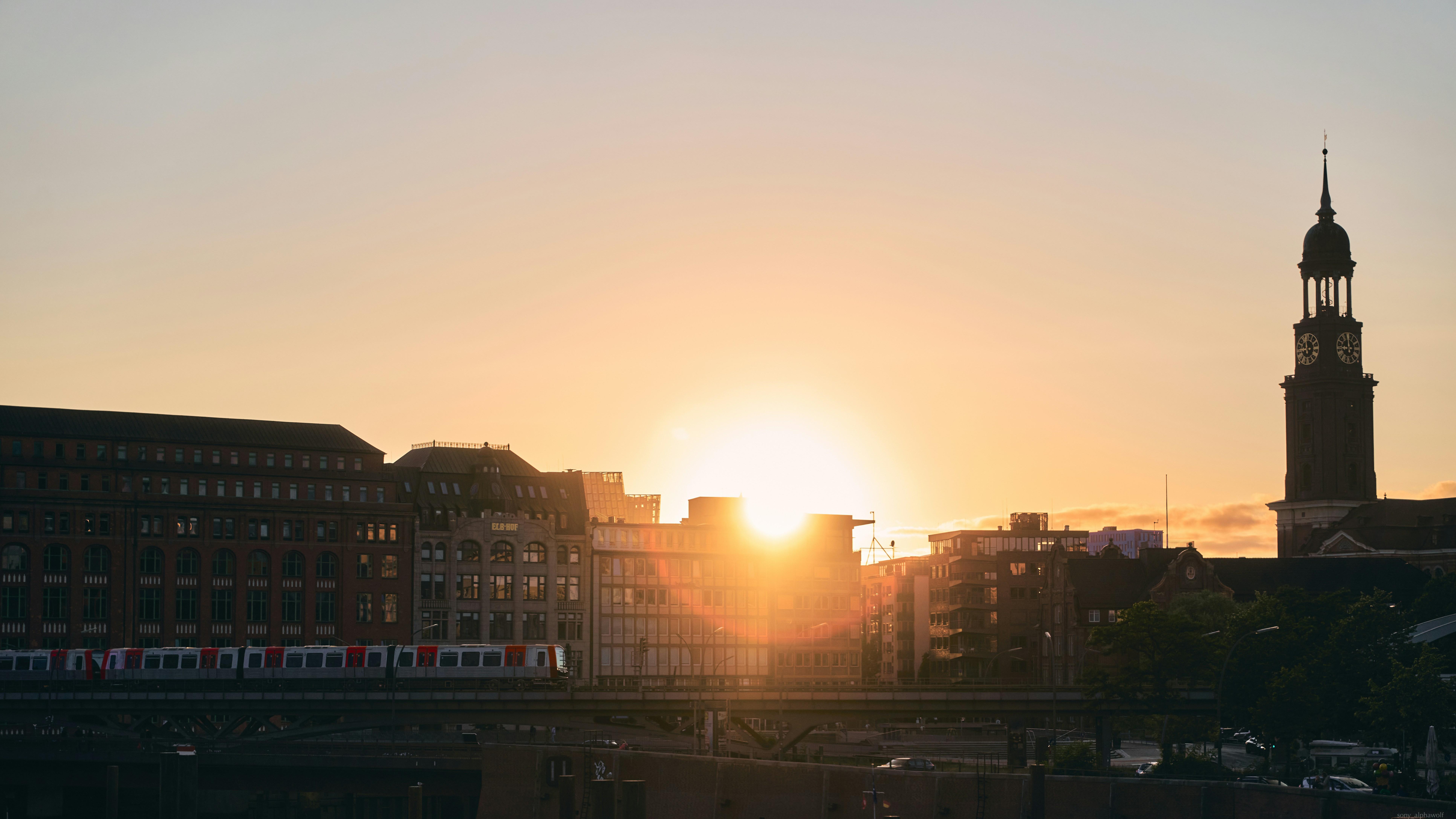 Photo by travelalphawolf