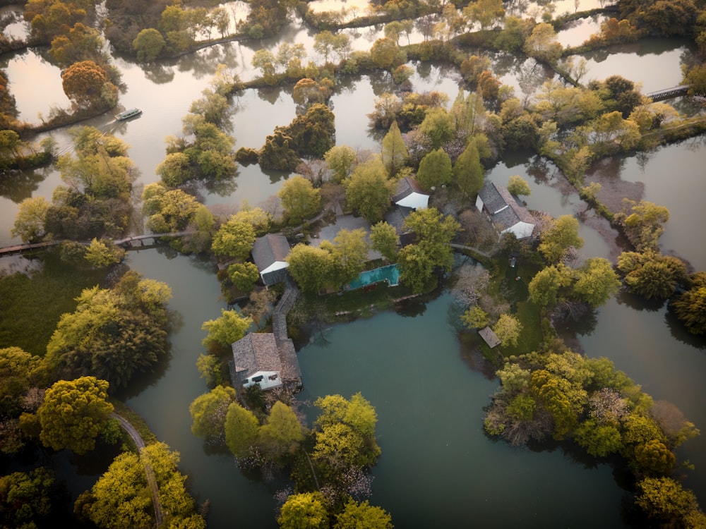 a body of water with trees around it