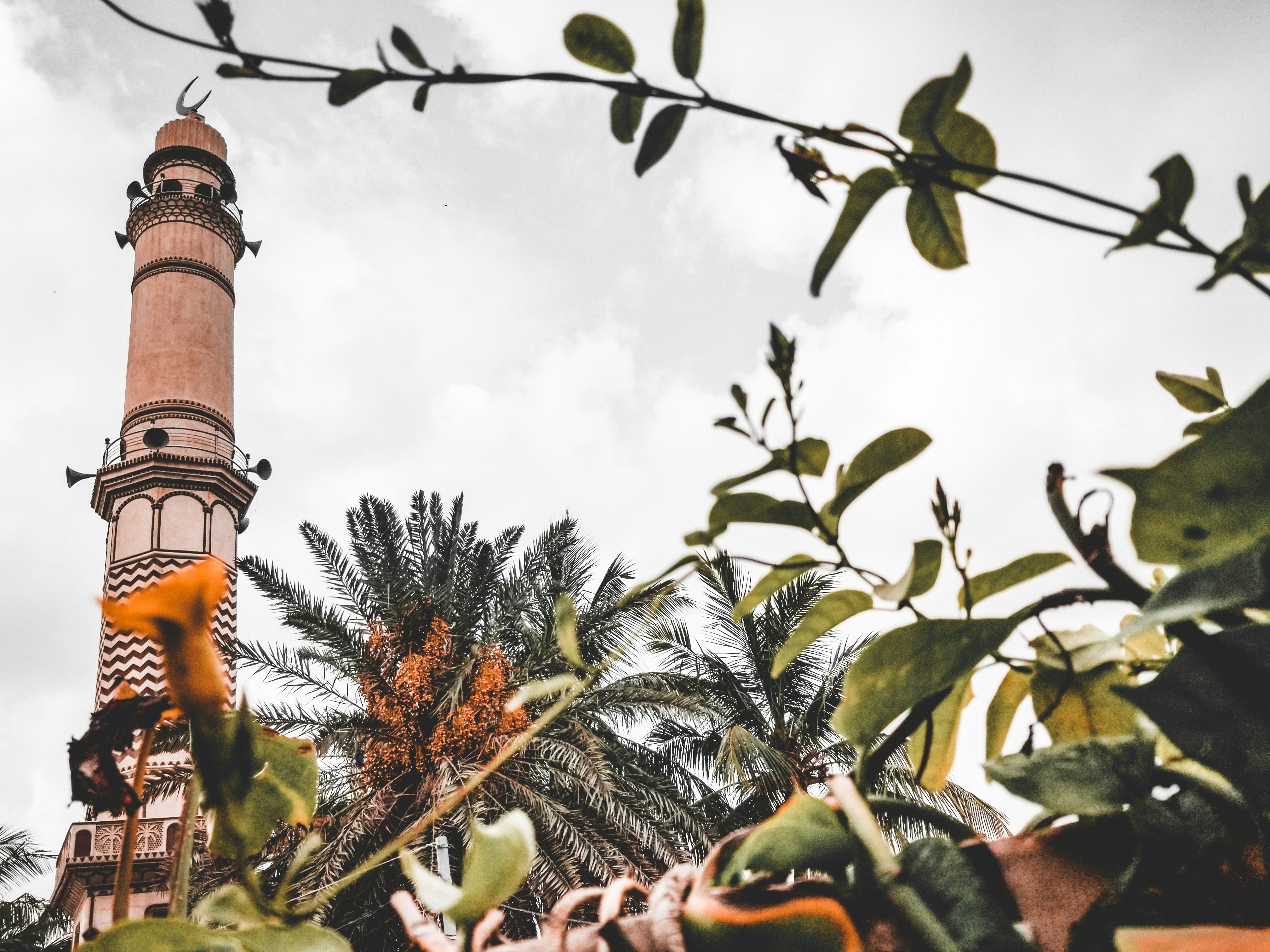menara tinggi dengan pohon di depannya
