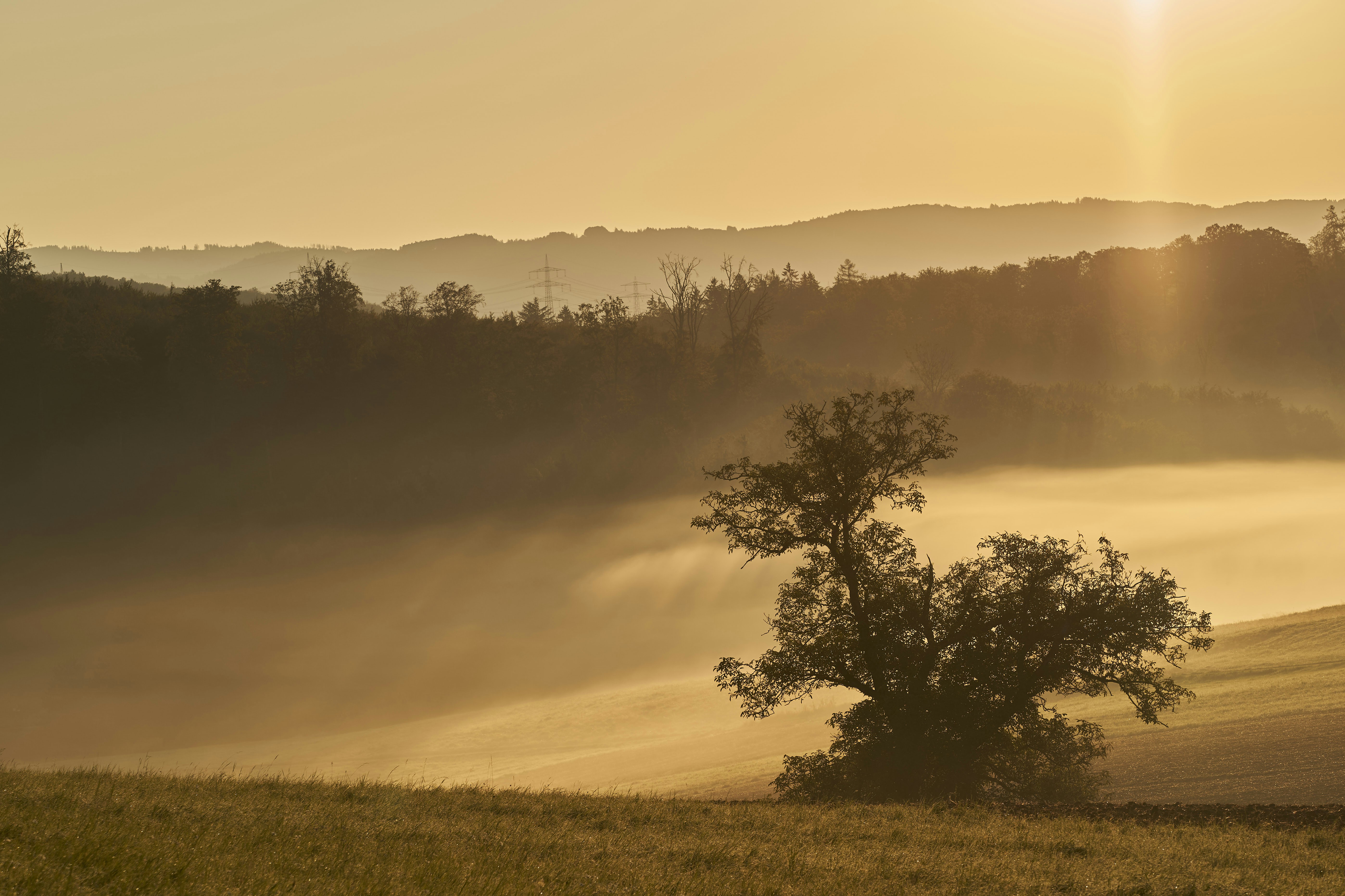 Photo by wolfgang_hasselmann