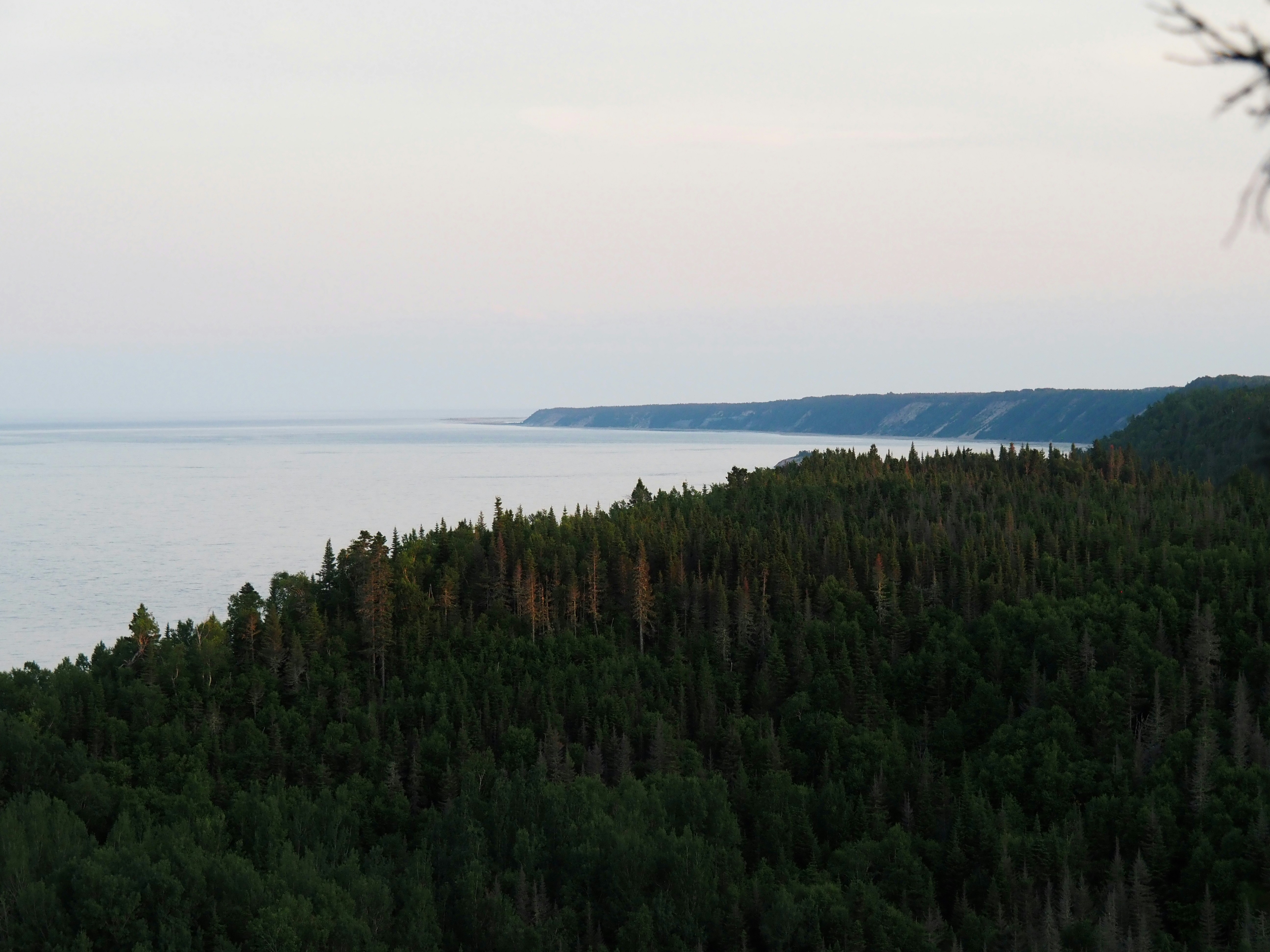 Peaceful landscape view of Öckerö's nature reserve