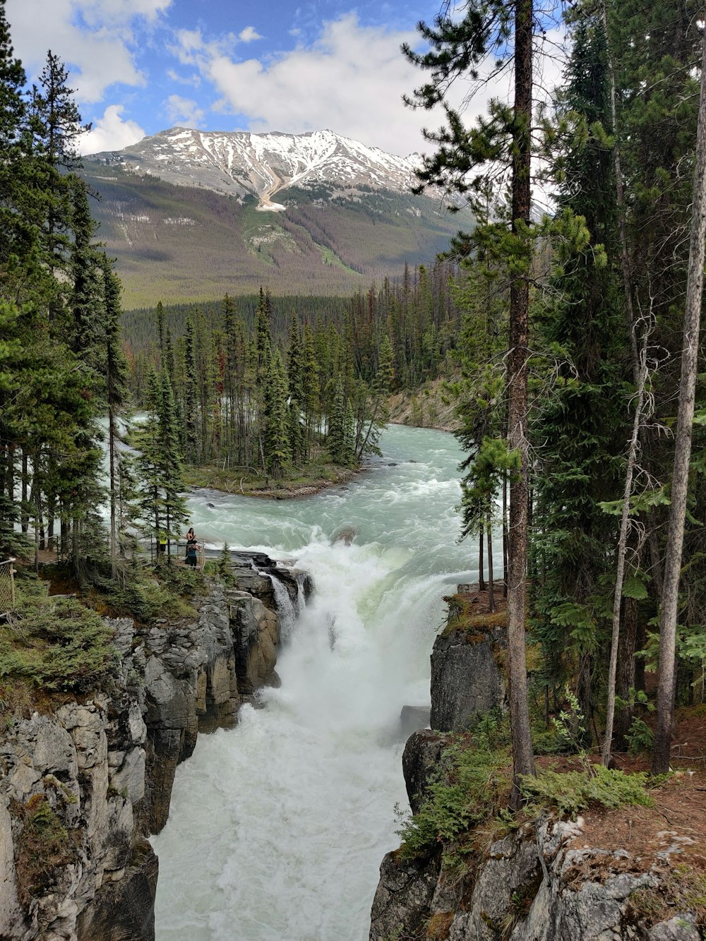 a river running through a forest with Sunwapta Falls in the background