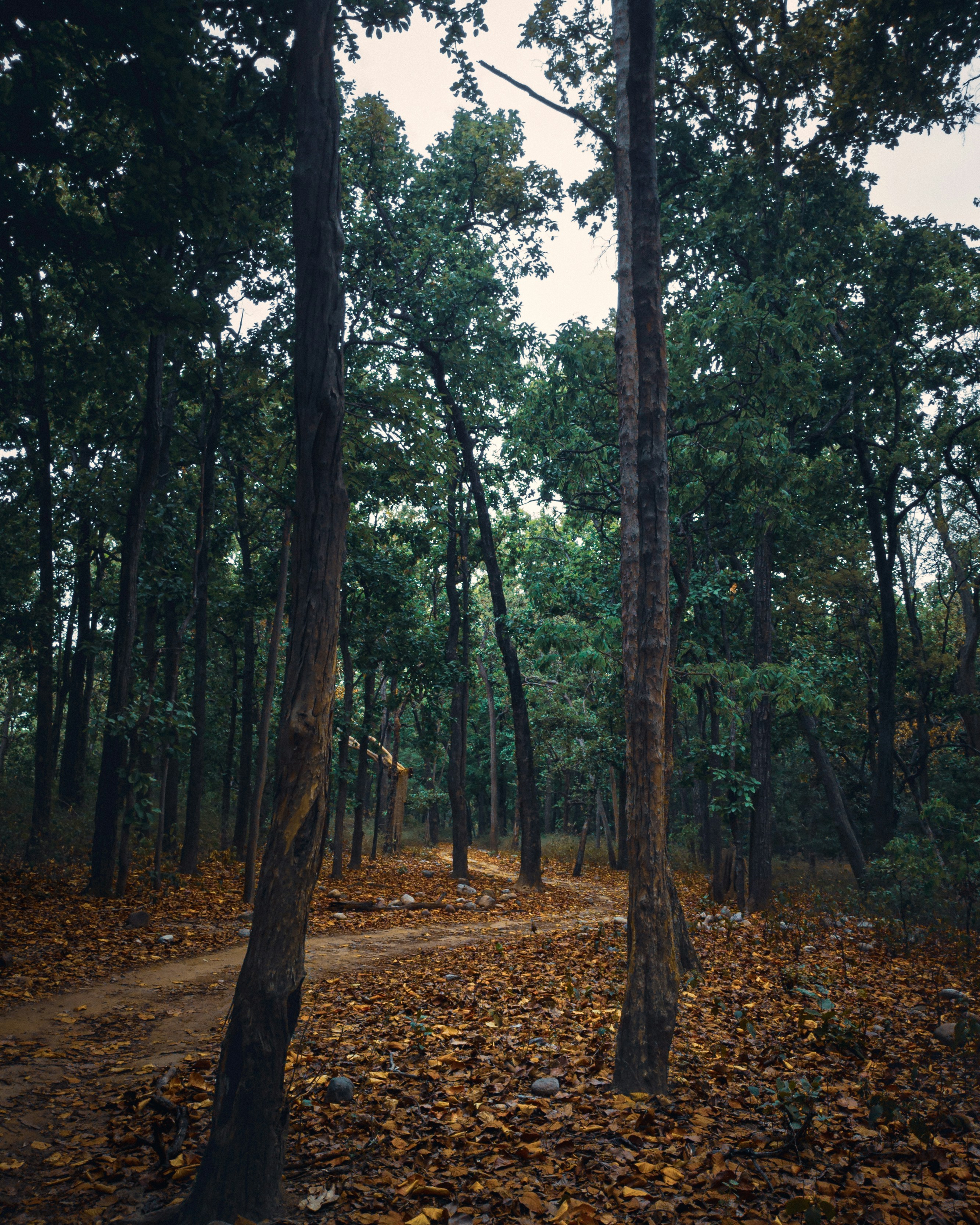 Photo by sparxastronomy