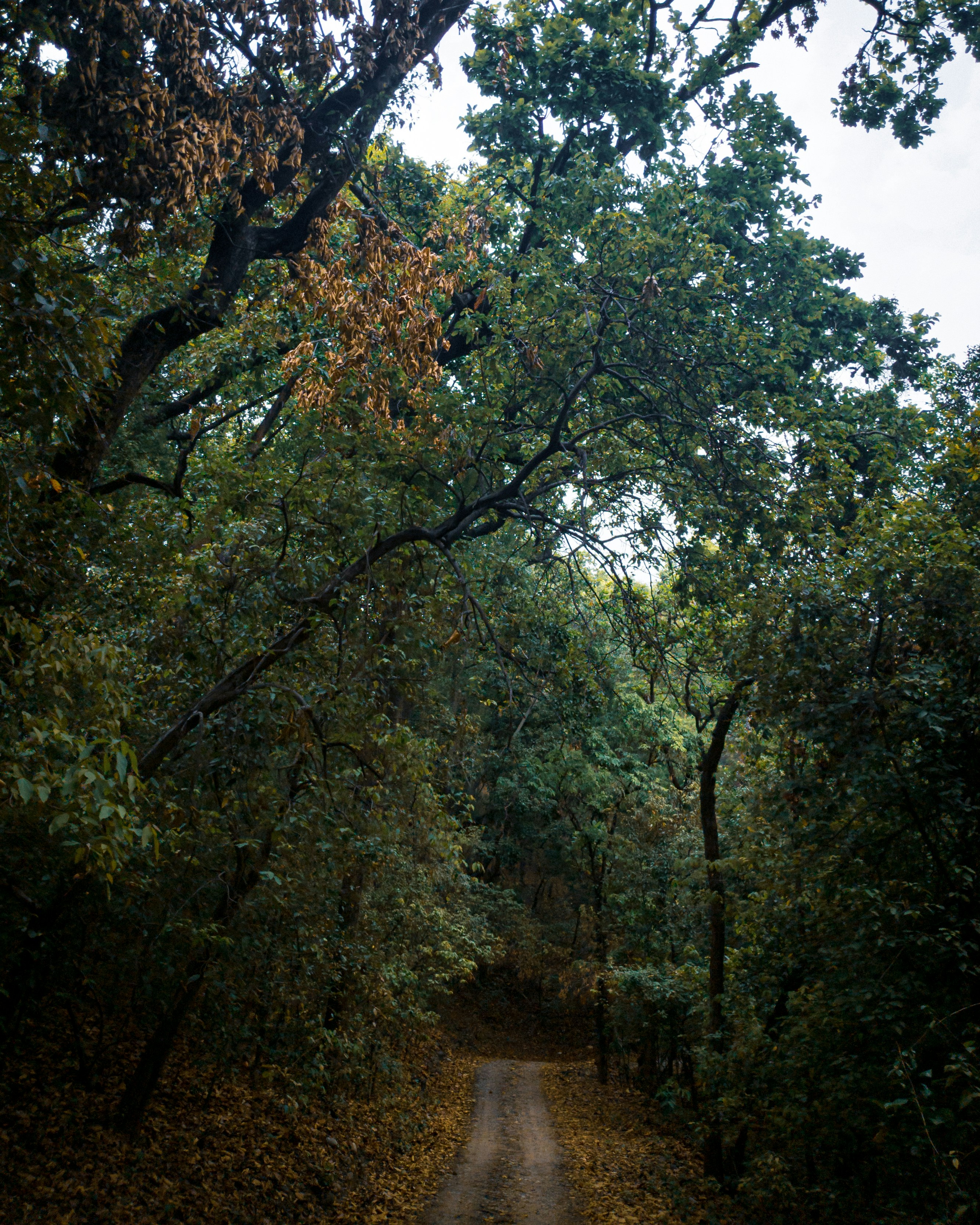 Photo by sparxastronomy