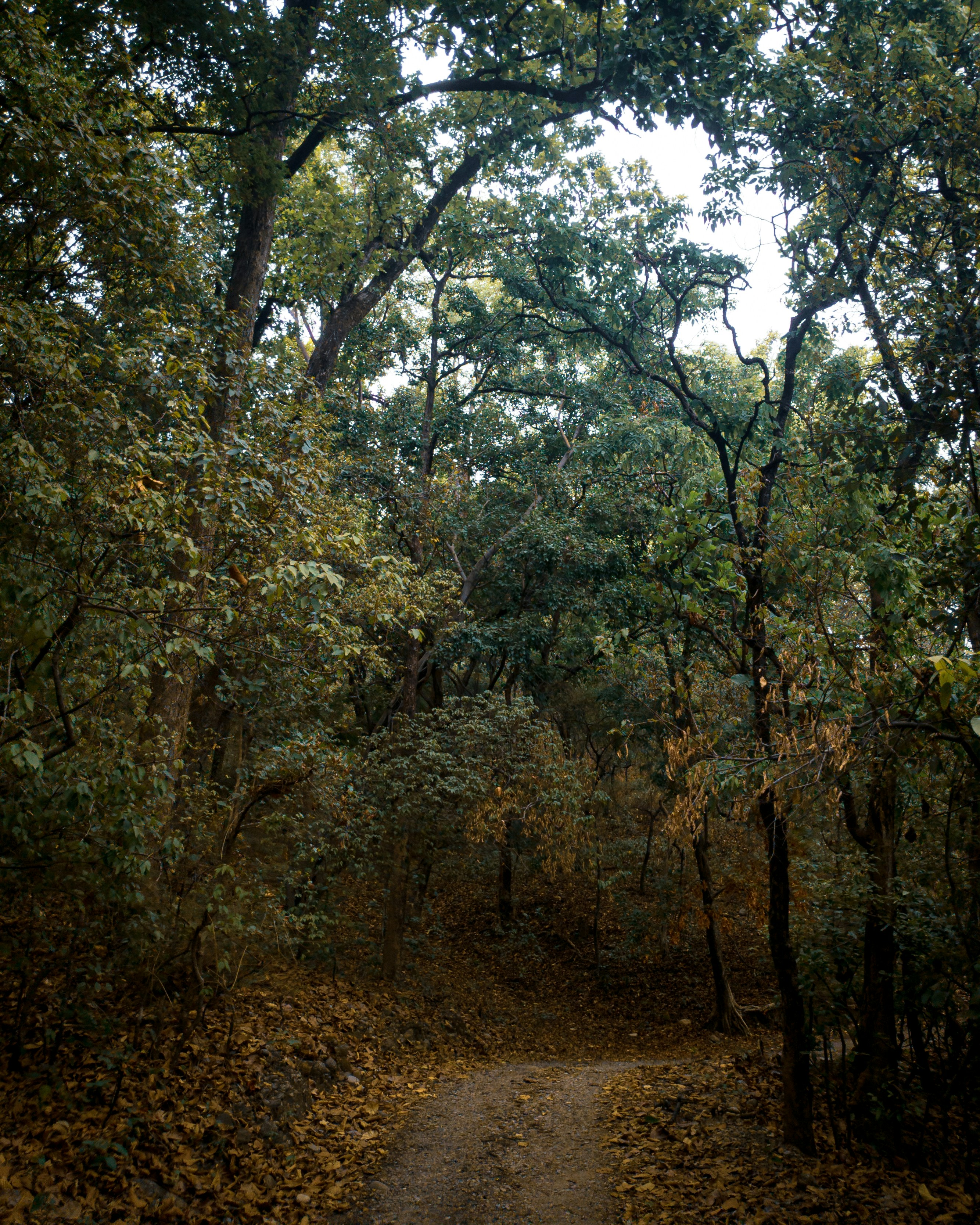 Photo by sparxastronomy