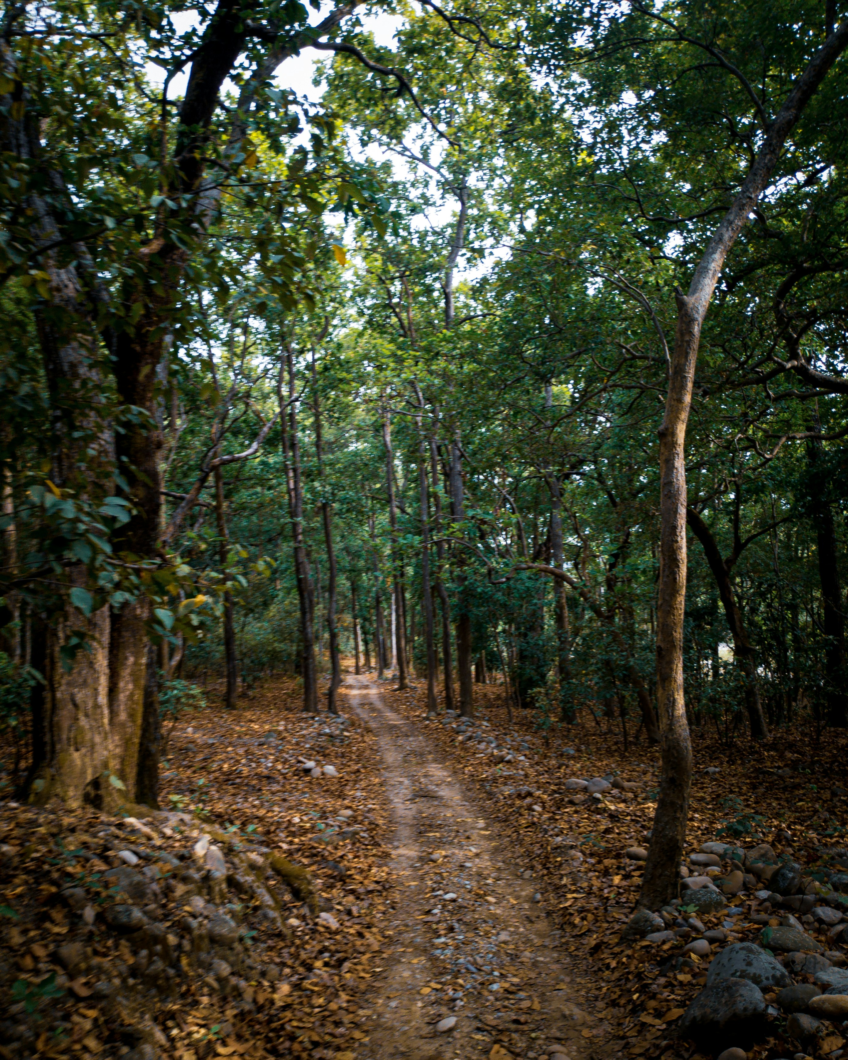 Photo by sparxastronomy