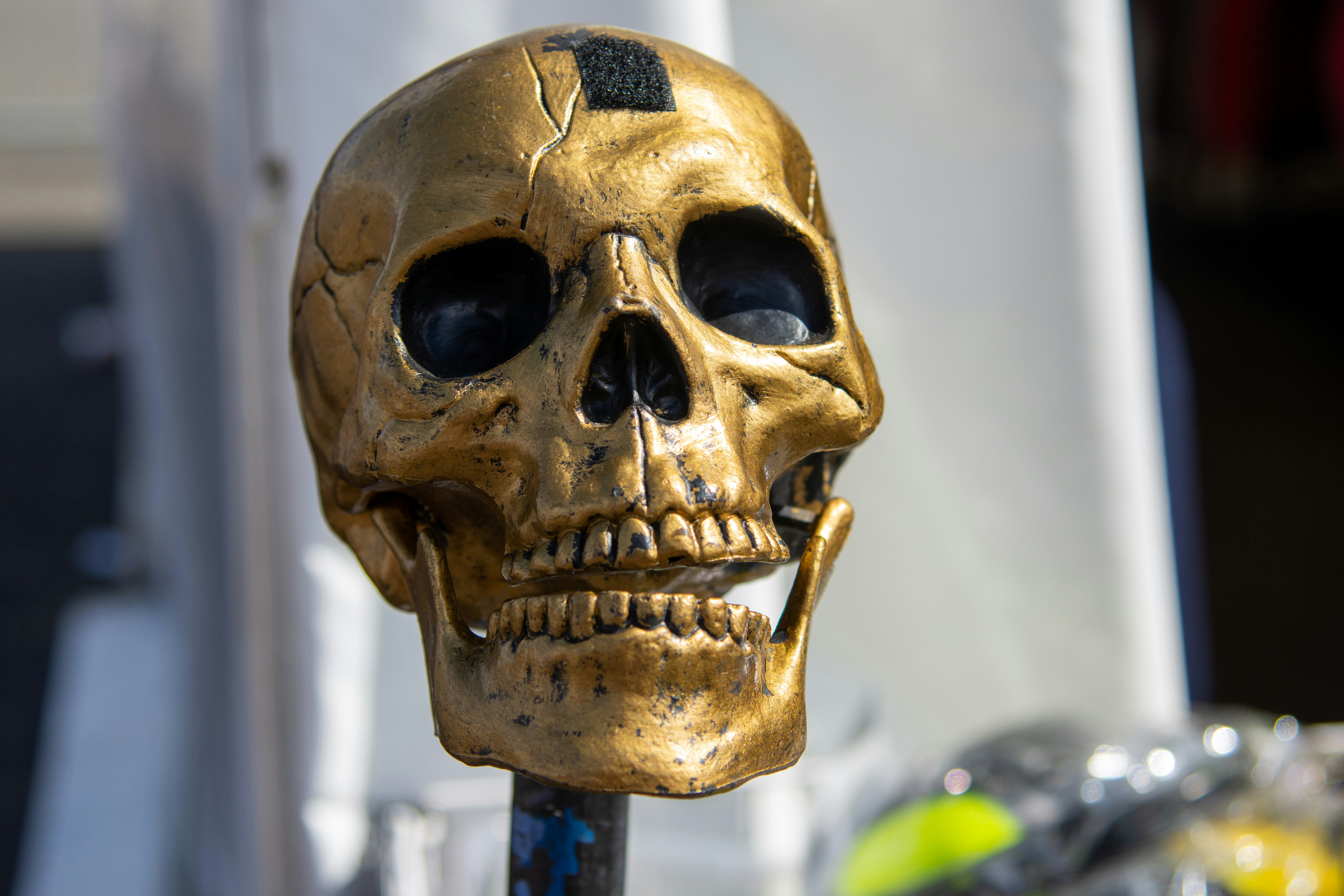 Photo by maplerockdesign