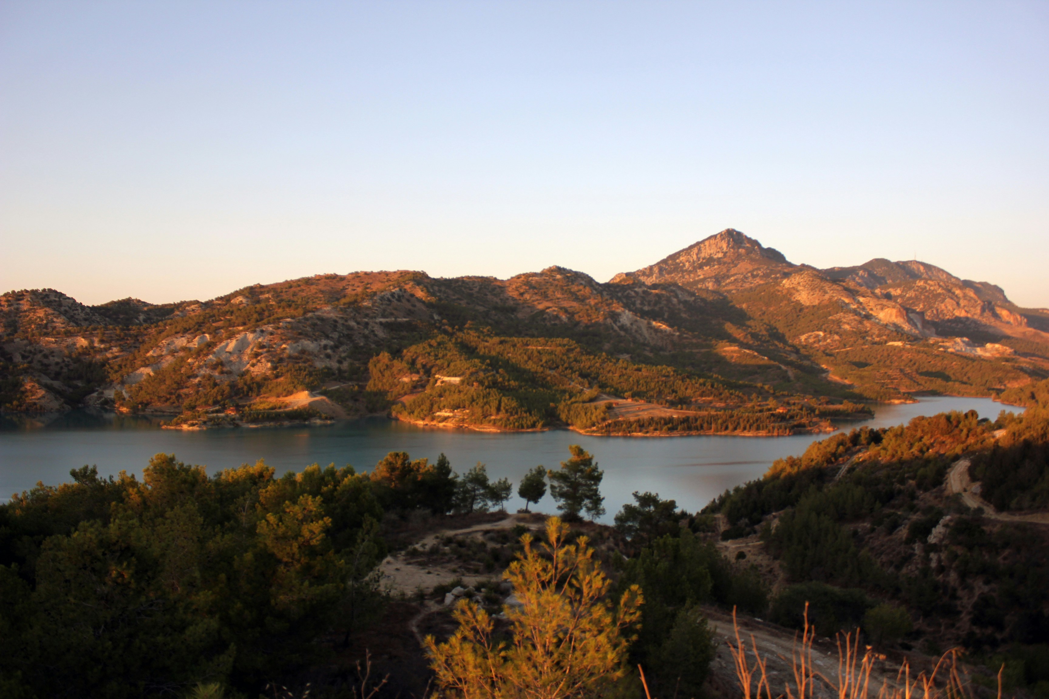 Photo by _sun_flower_