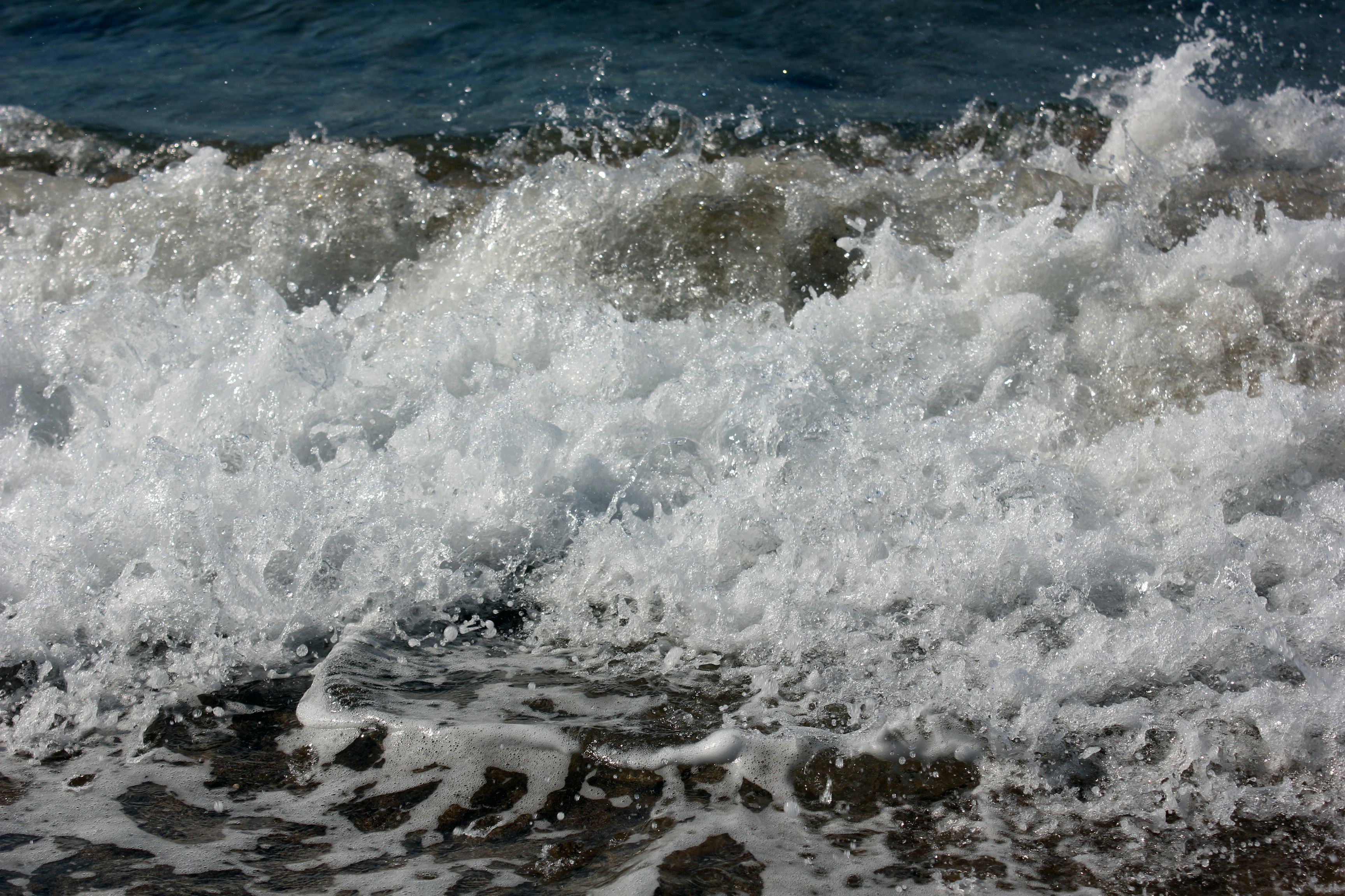 Photo by _sun_flower_