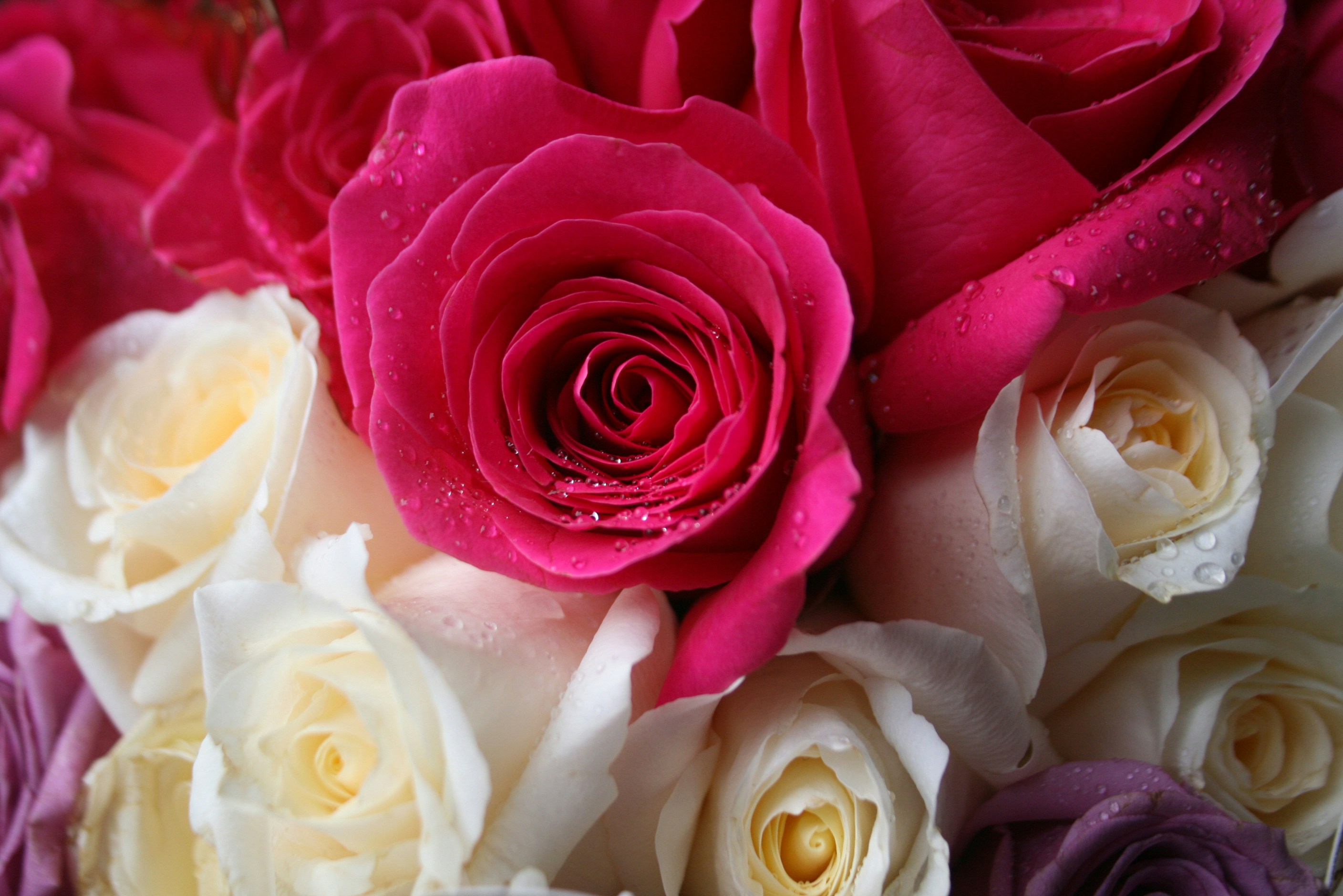 Photo by karollsoto0219