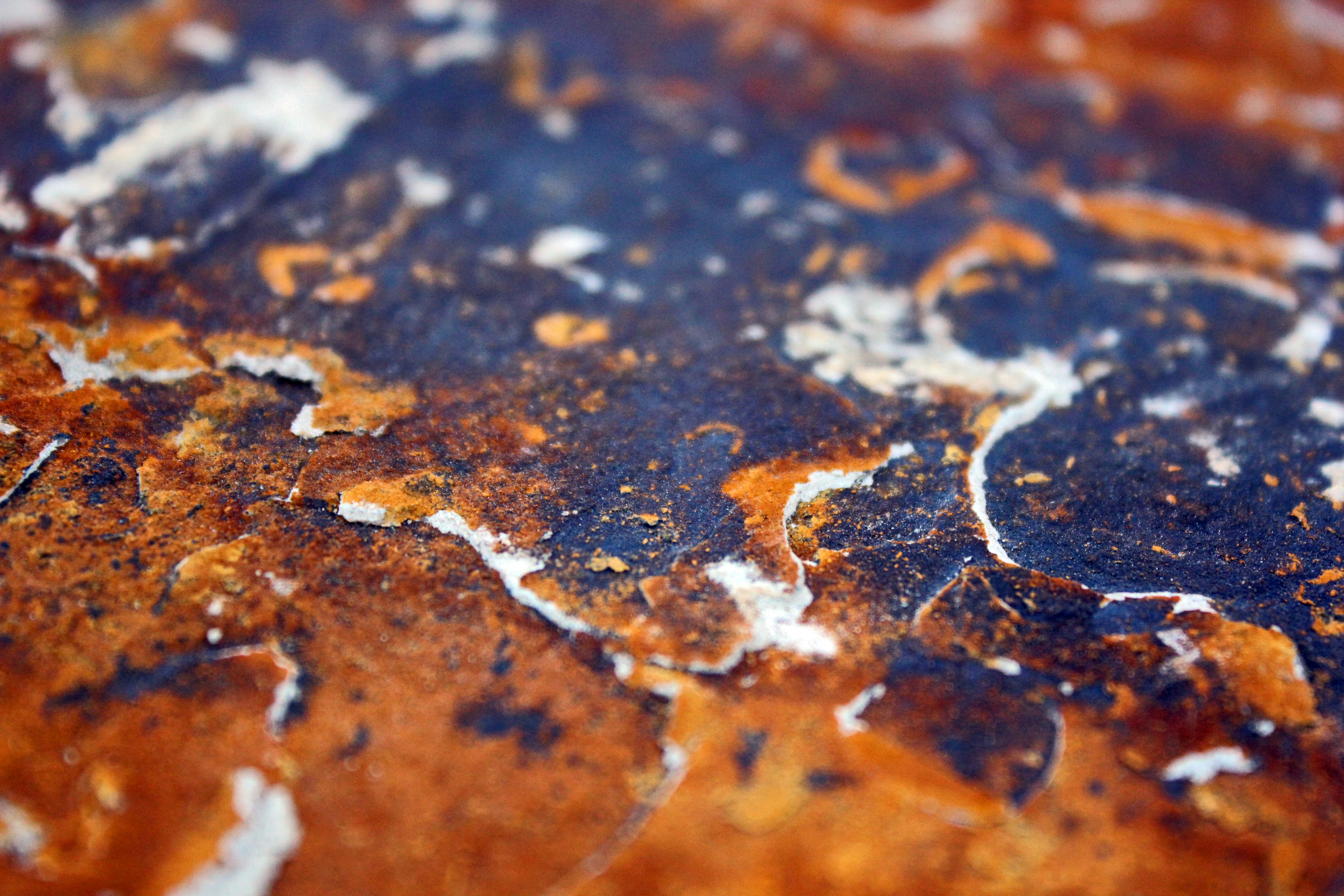 Photo by _sun_flower_