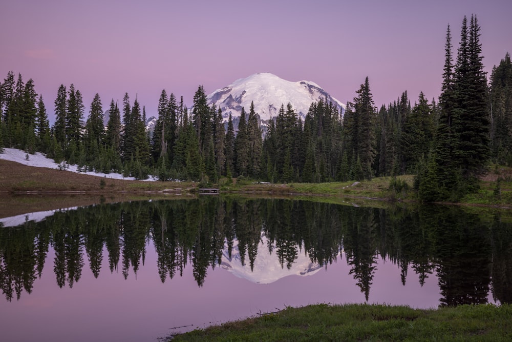 a lake with trees and a mountain in the background