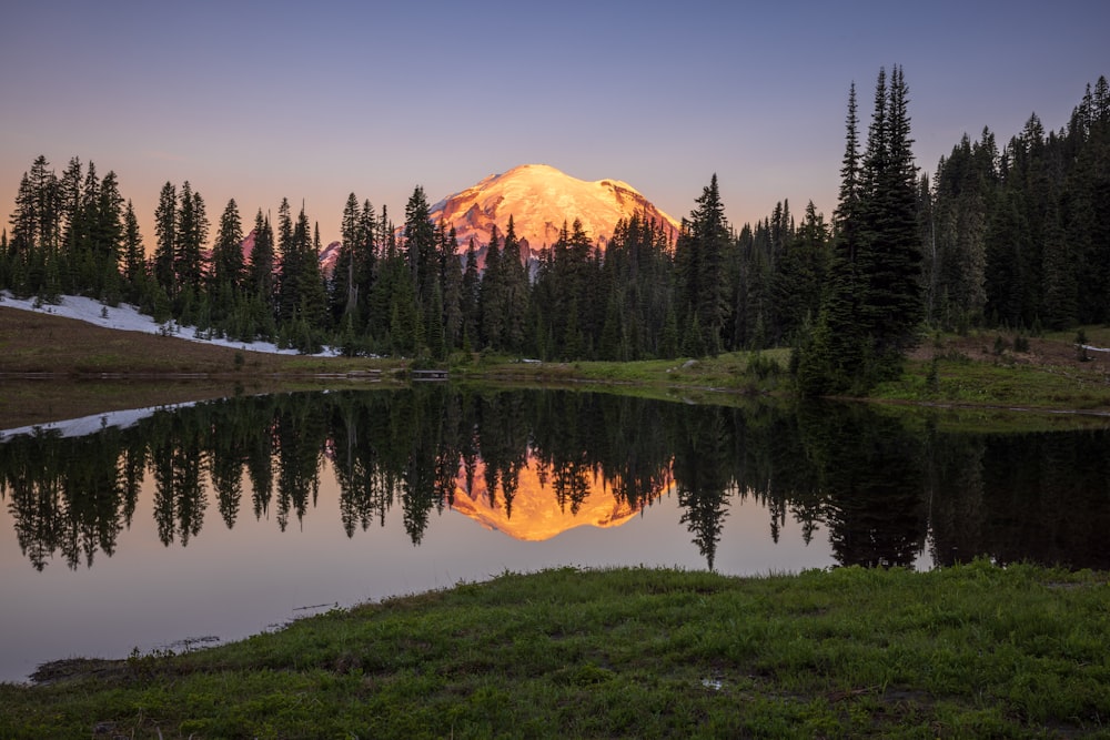 a lake with trees and a mountain in the background